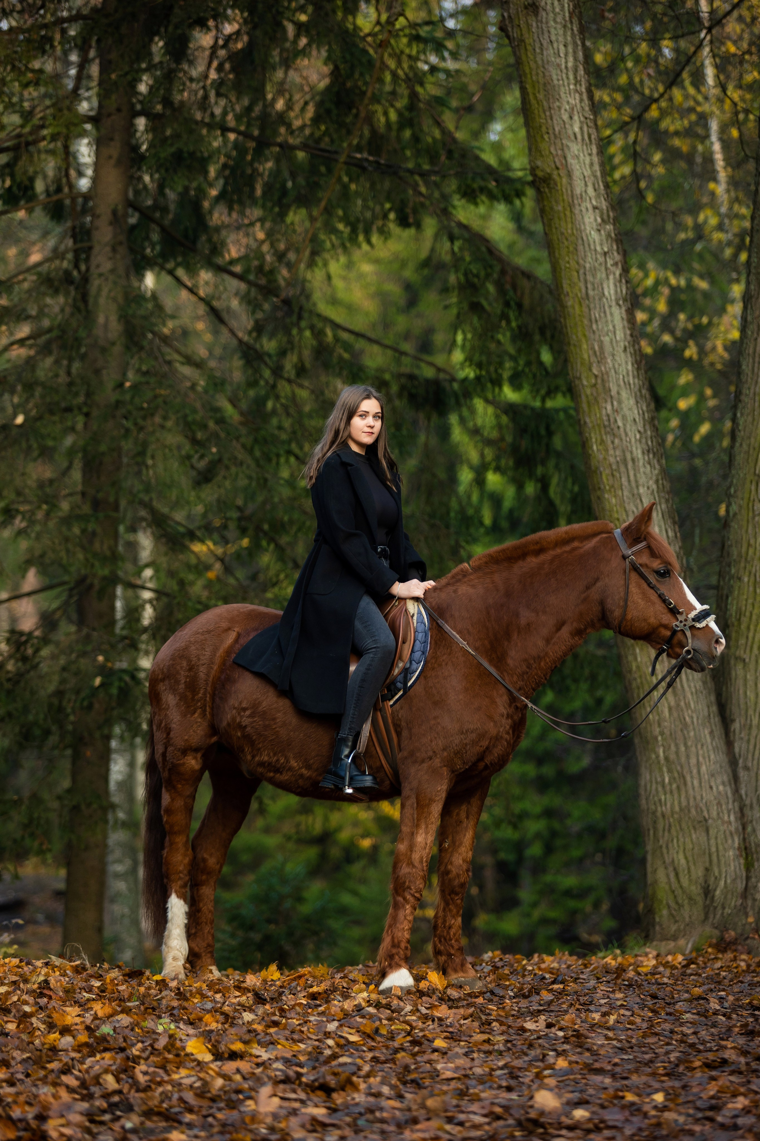 ФОТОСЕССИИ С ЖИВОТНЫМИ. Свадебный фотограф Санкт-Петербург Катерина Ширяева