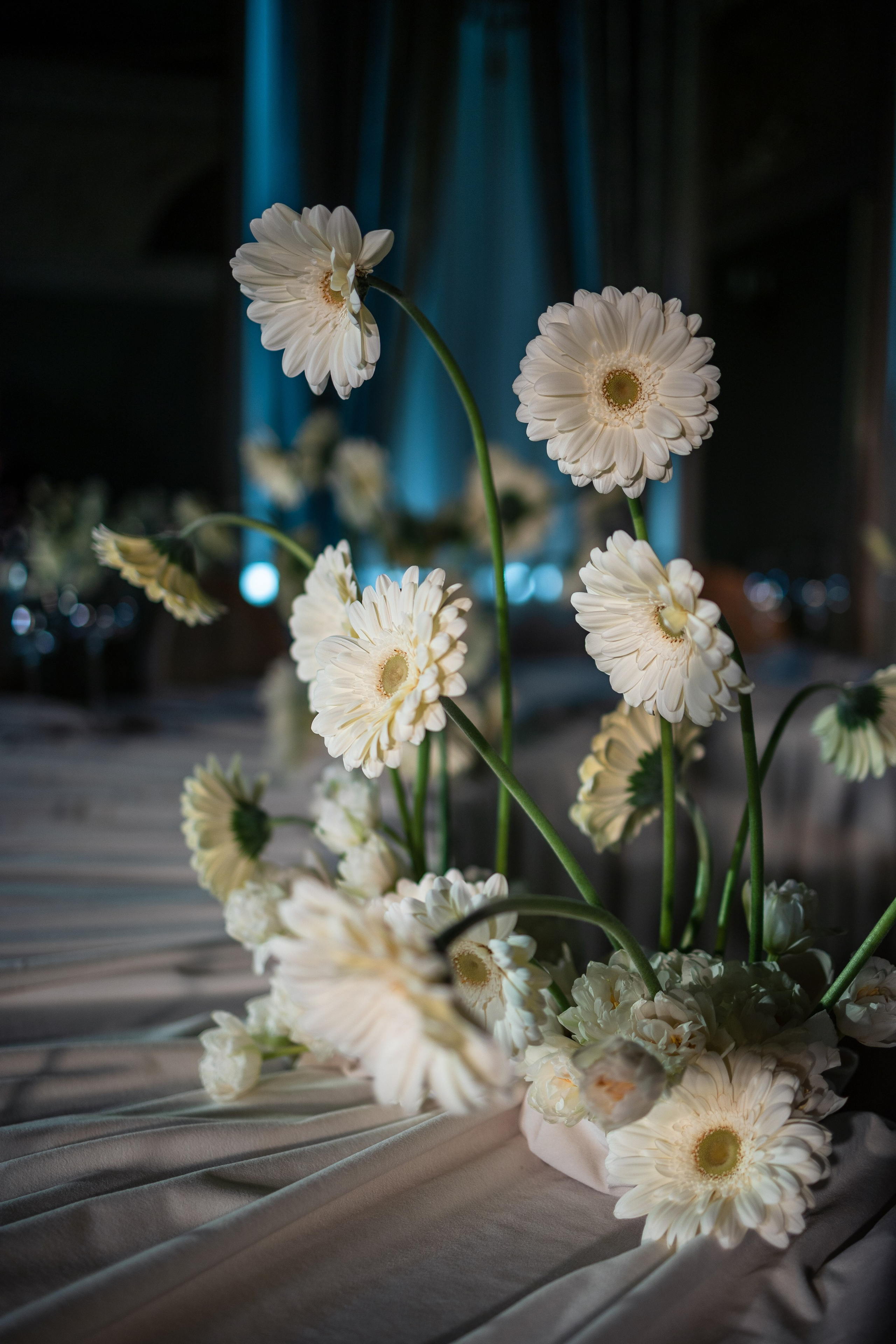 ДОМ КОЧНЕВОЙ. Свадебный фотограф Санкт-Петербург Катерина Ширяева