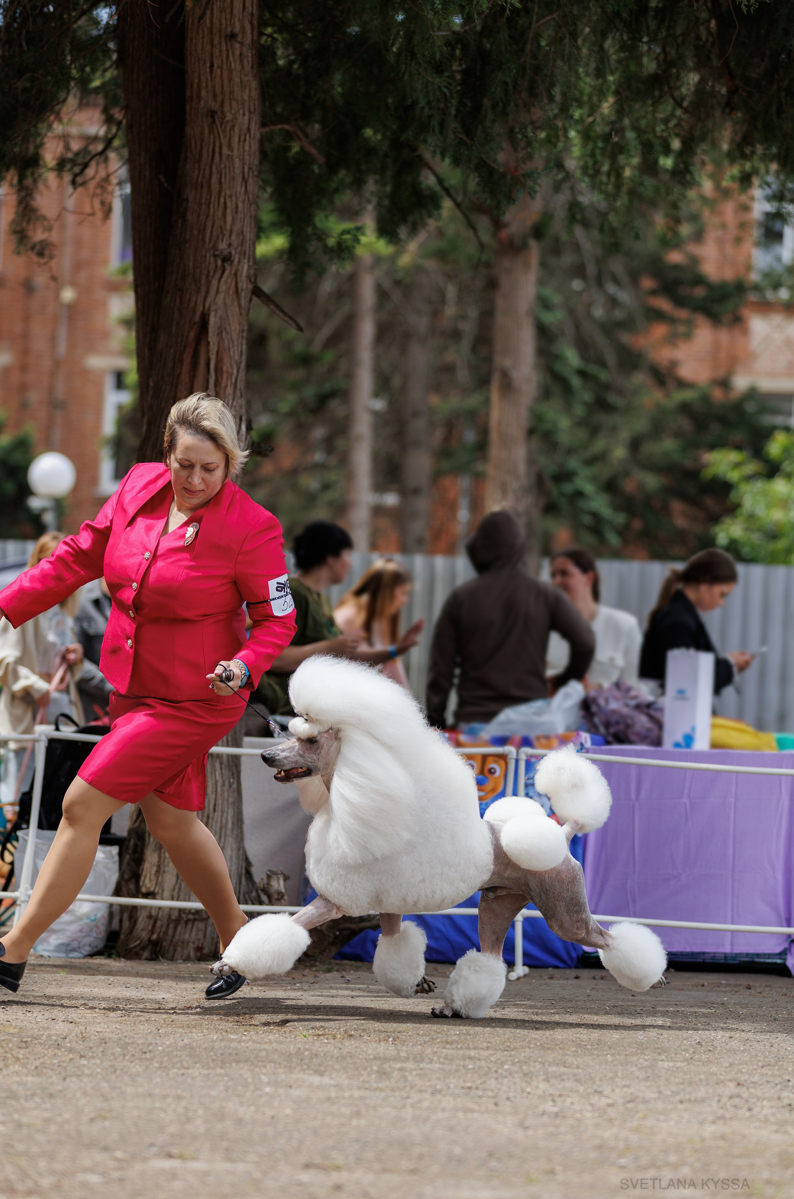 Фото с выставки собак. Фотограф — анималист Светлана Кысса|фотограф собак в Краснодаре и Нижнем Новгороде