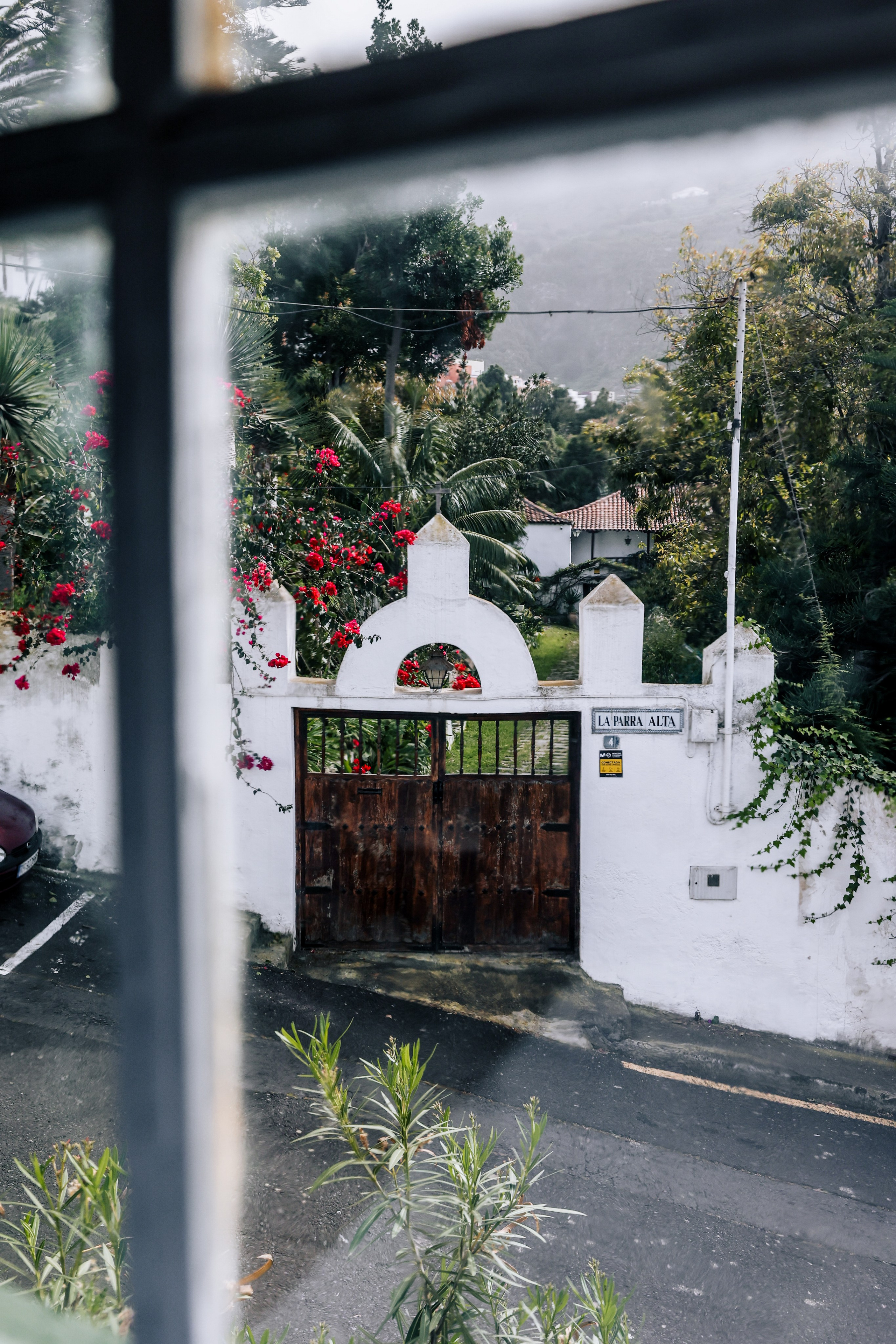 Emblemática Los Helechos. Фотограф Виктория Волкова. Москва