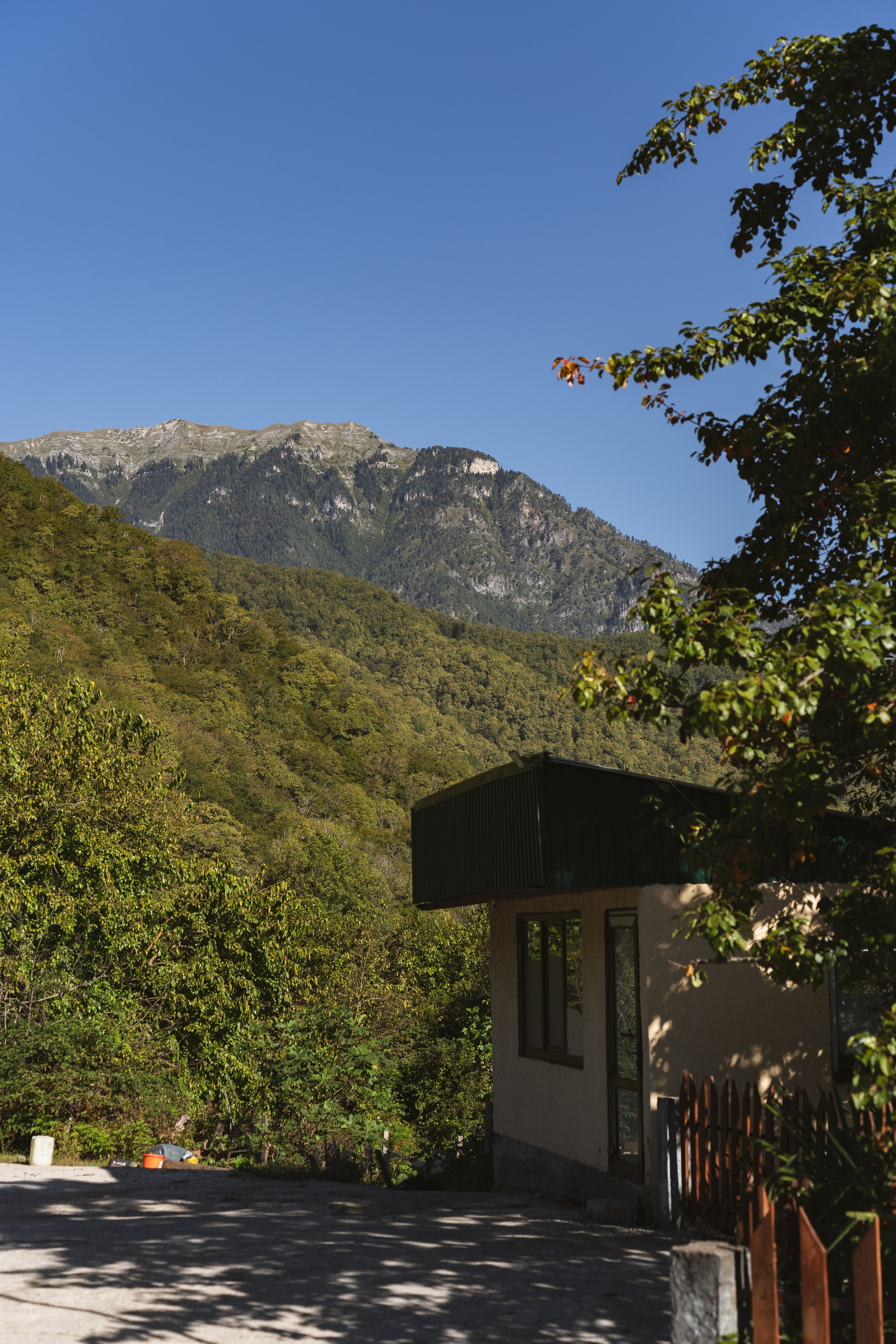 Фотографии из поездки в Абхазию. Предметный фотограф Санкт-Петербург