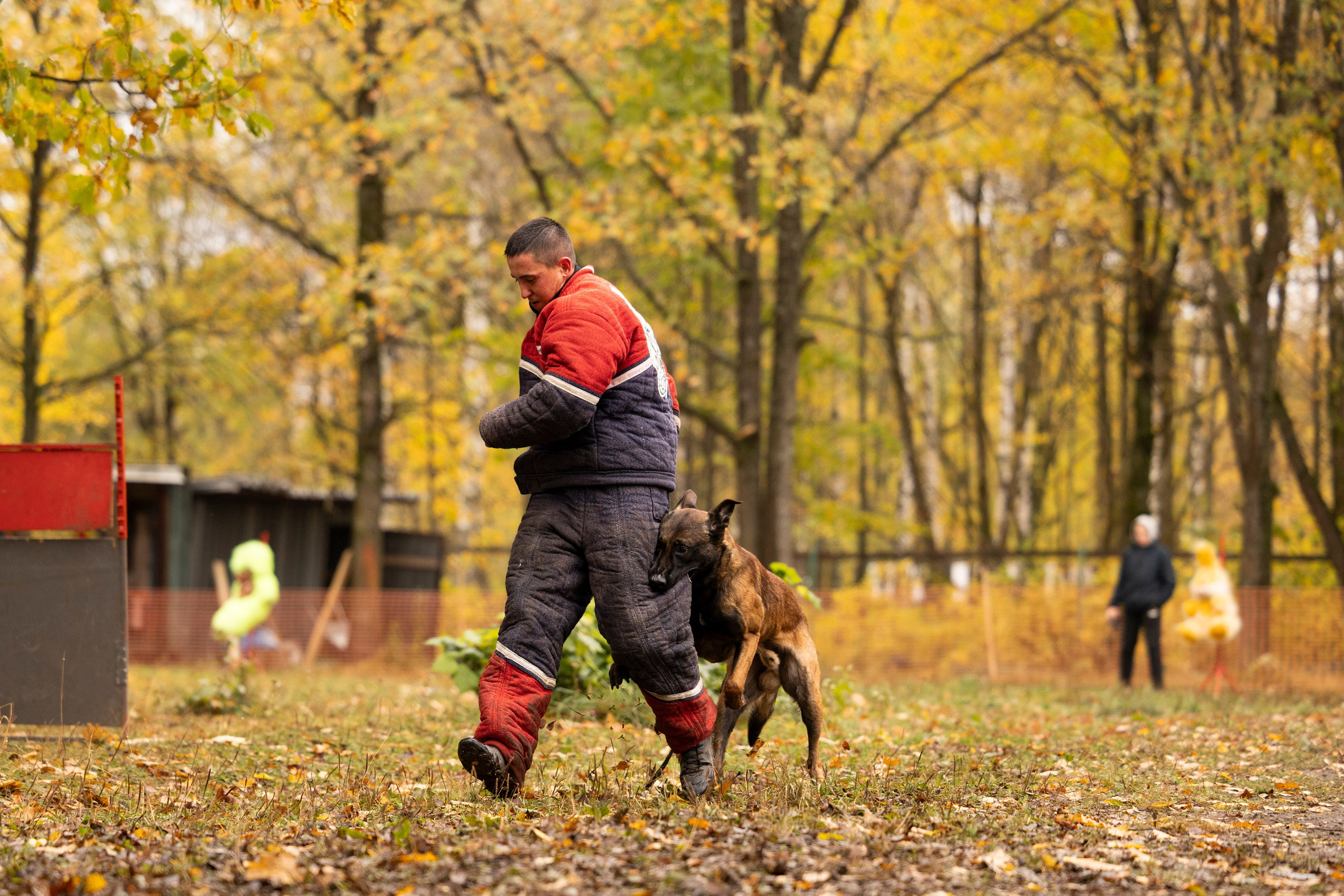 Соревнования по Мондьорингу г. Вологда. Фотограф-анималист Анна Маринич