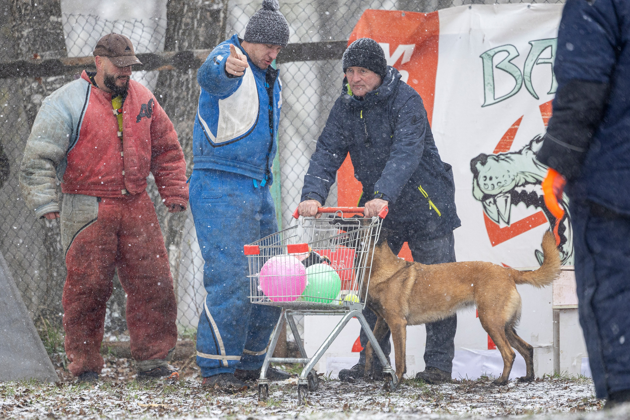 Квалификационные состязания по мондьорингу г. Вологда 11.05.24. Фотограф-анималист Анна Маринич