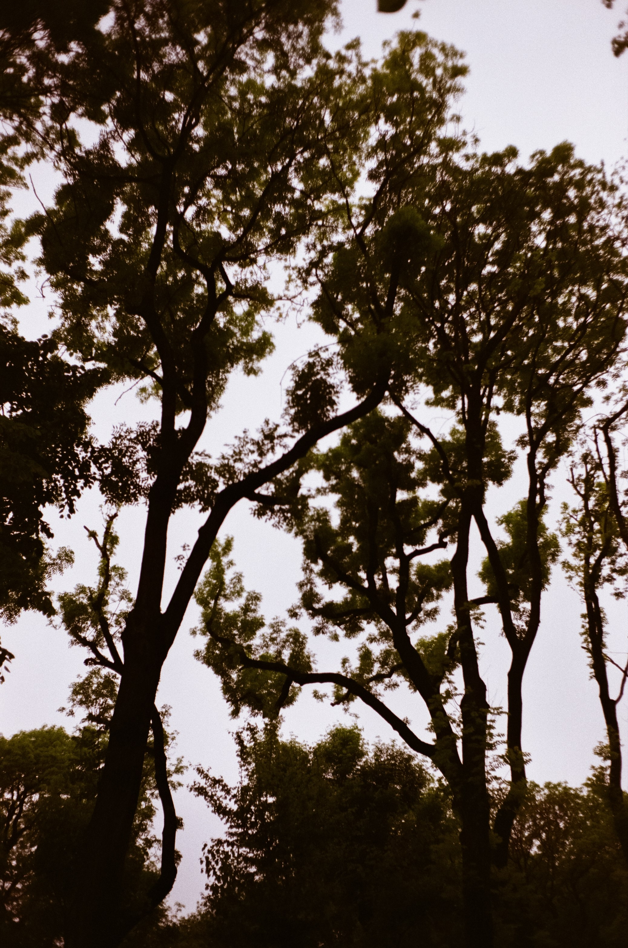 Ессентуки / 4 мая 2024 года / Minox 35GT / Konica VS Super 200