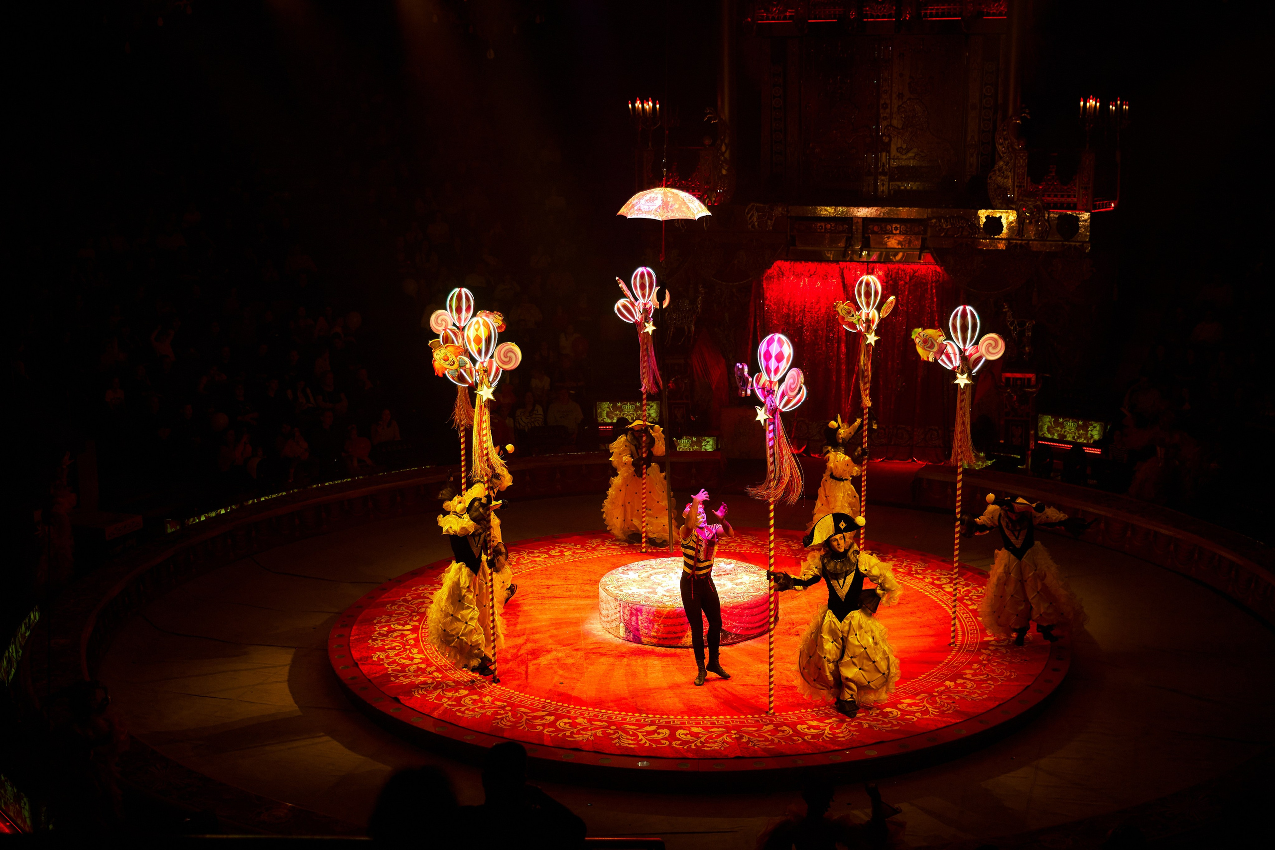 Королевский цирк Гии Эрадзе. Свадебный и семейный фотограф