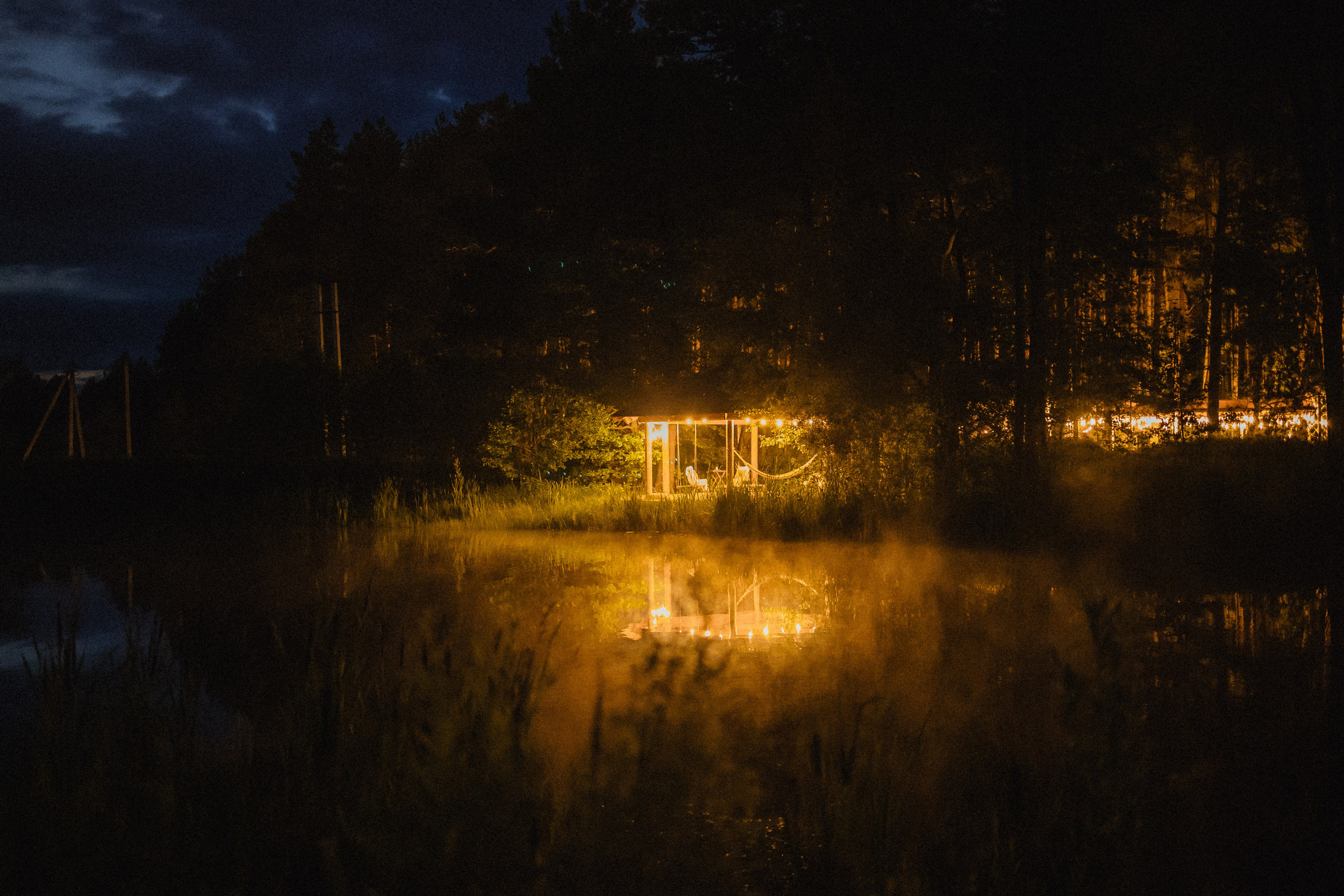 Выездной дог-тренинг от школы «Шерсть имею»