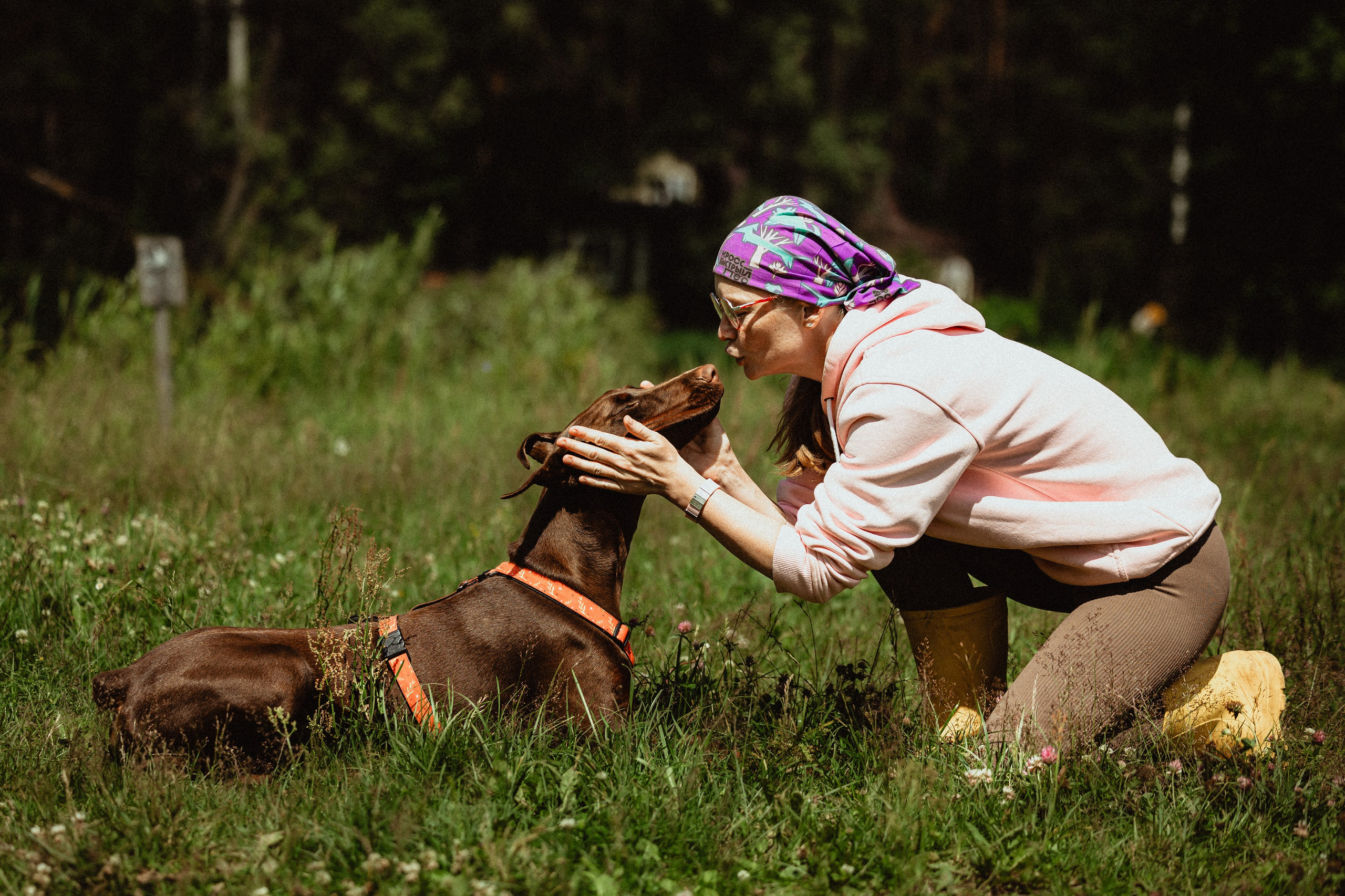 Выездной дог-тренинг от школы «Шерсть имею»