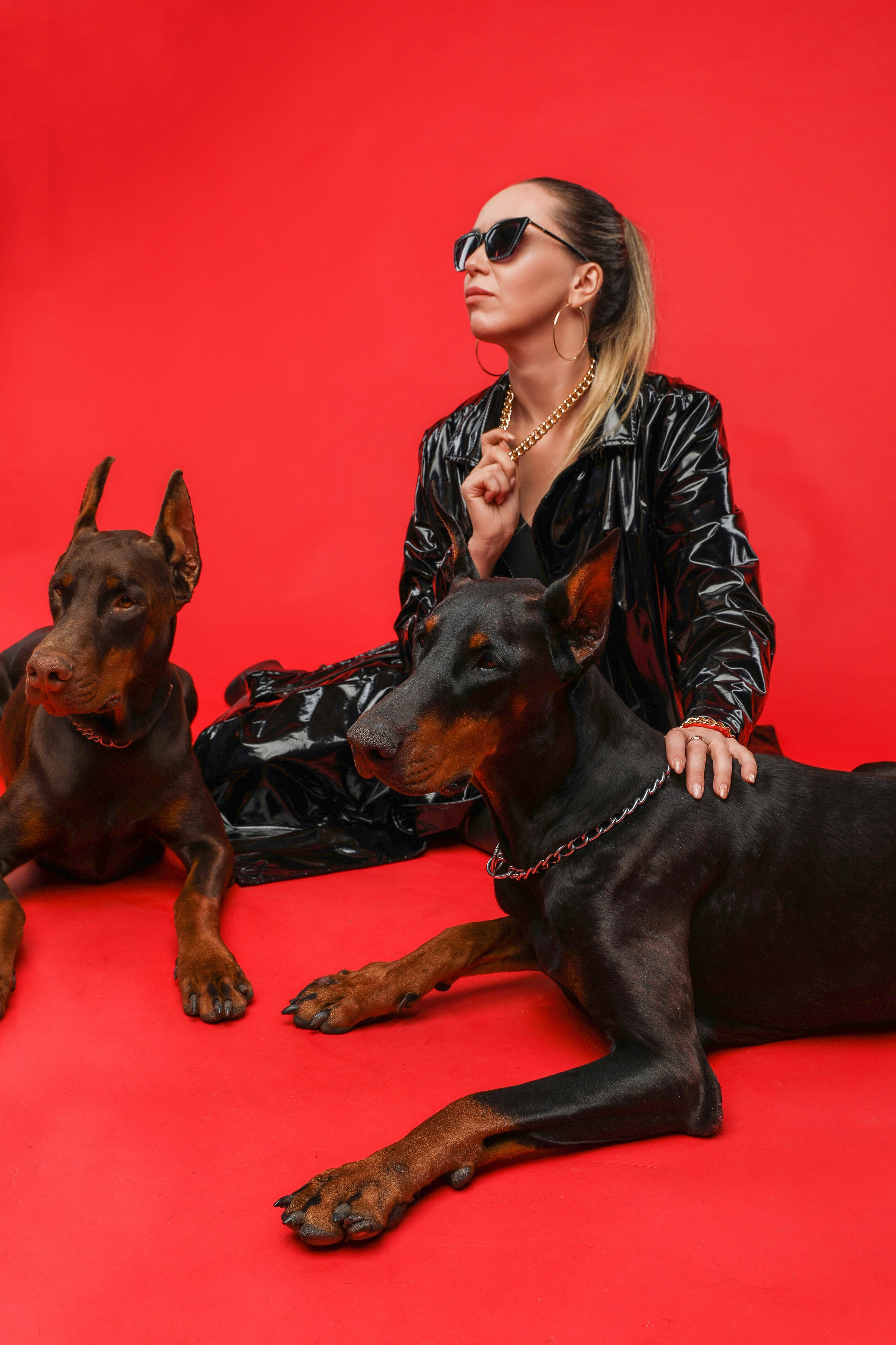 ПРОЕКТ «ДОБЕРМАНЫ». Photographer Viktoriya Markushina «My world throug»