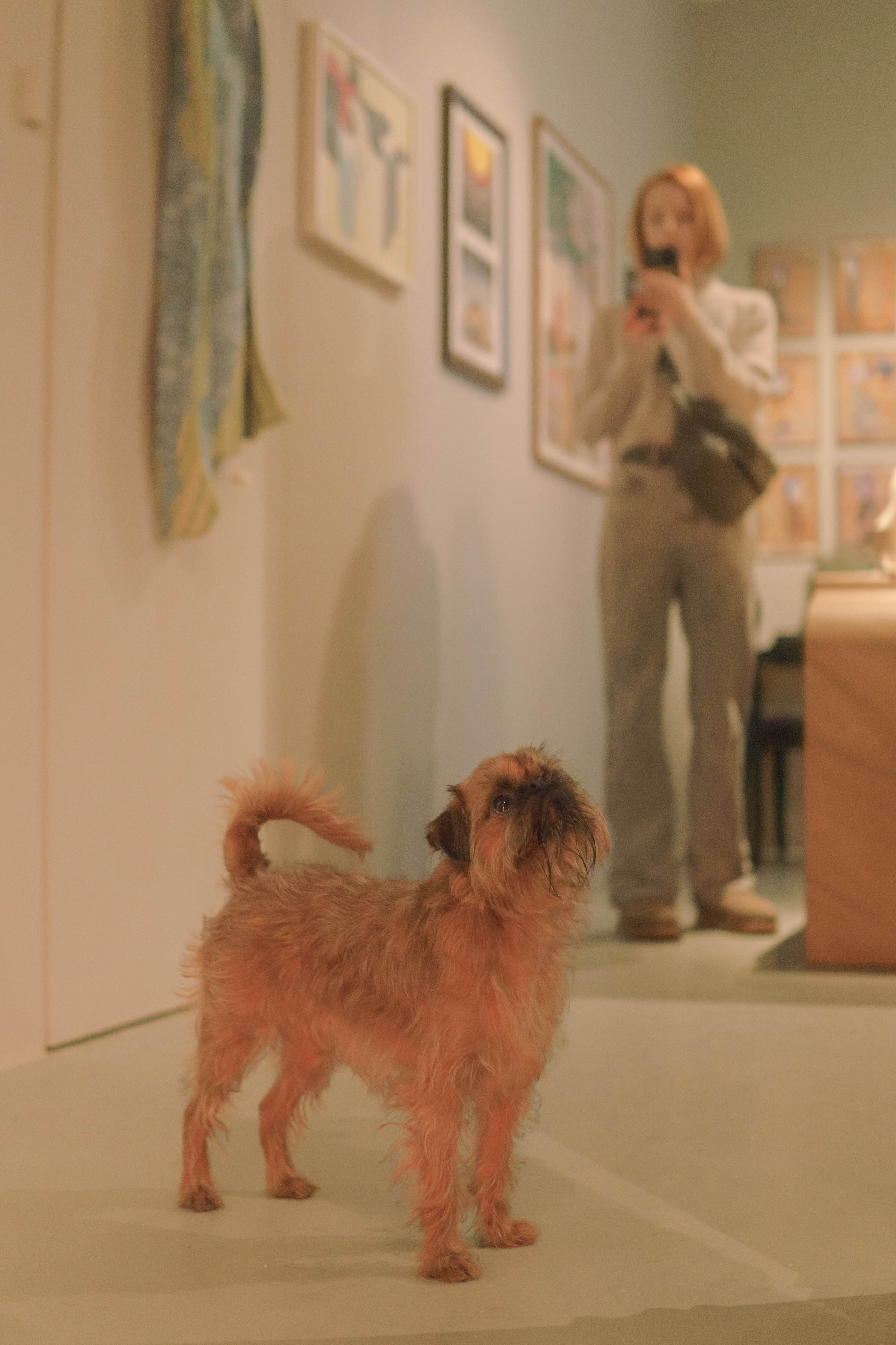 Наташа и Хавьер. Фотограф-анималист Ксения Воробьева, Москва