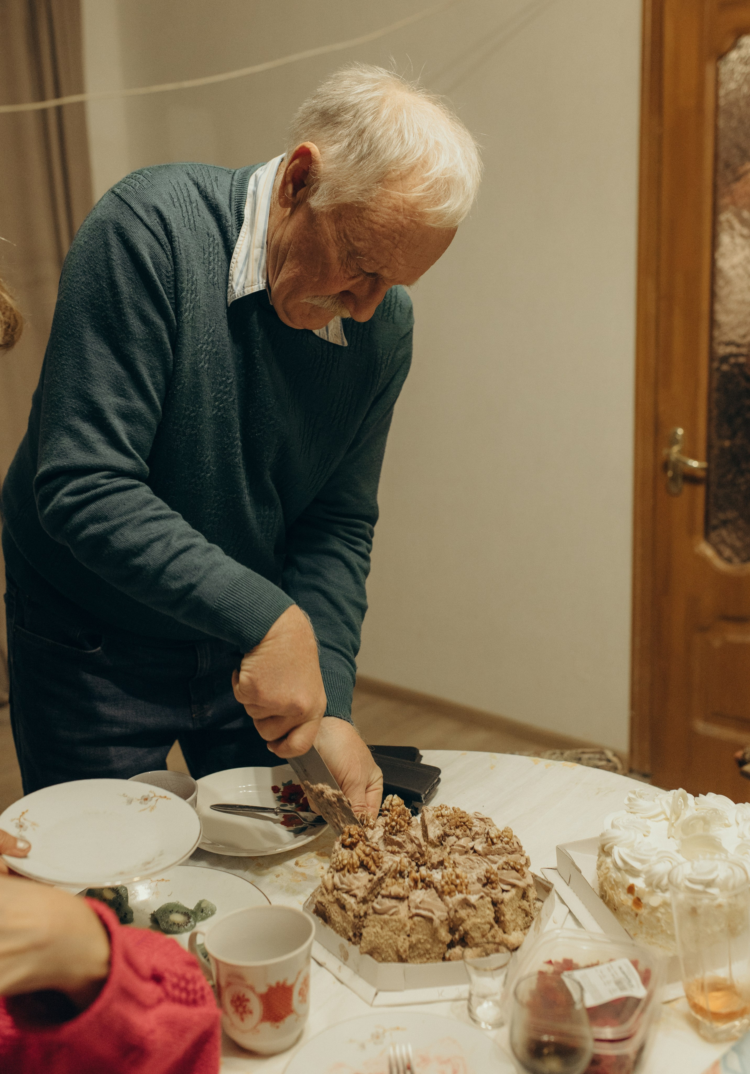 Домашняя история. Meryfotoidea