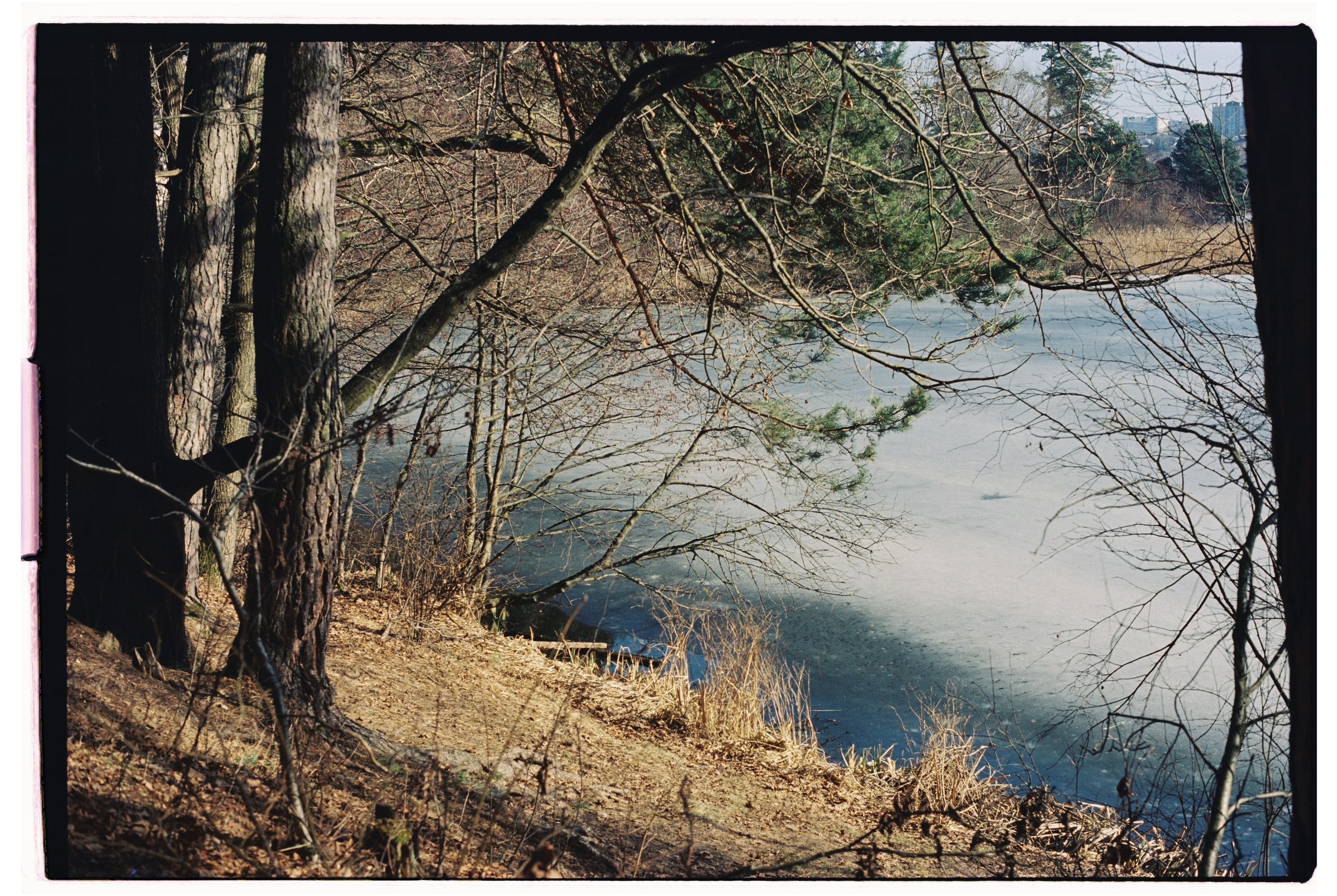 KALUGA. ANNA — PHOTOGRAPHER