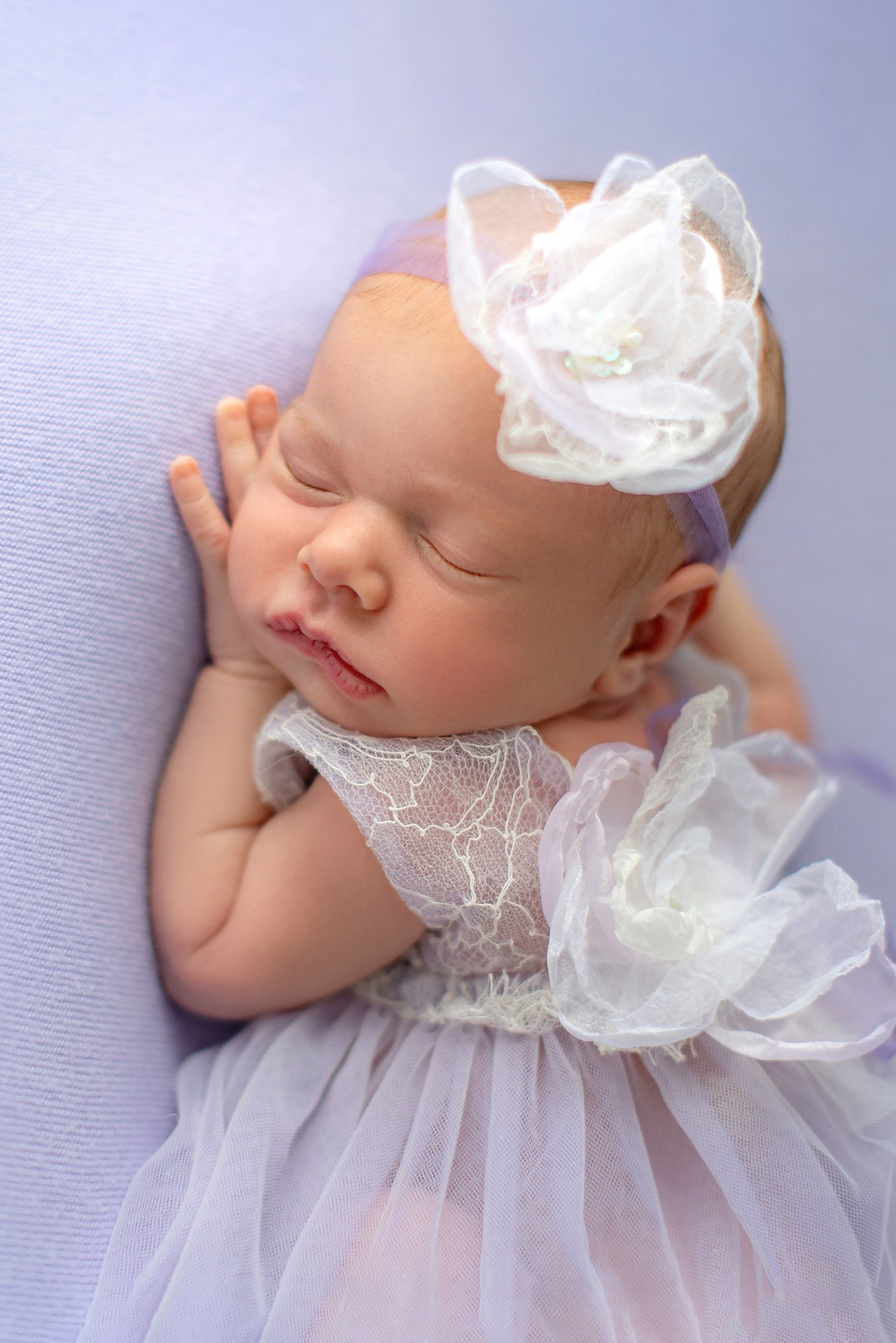 Lavender. Фотограф новорожденных, семейный фотограф в Санкт-Петербурге