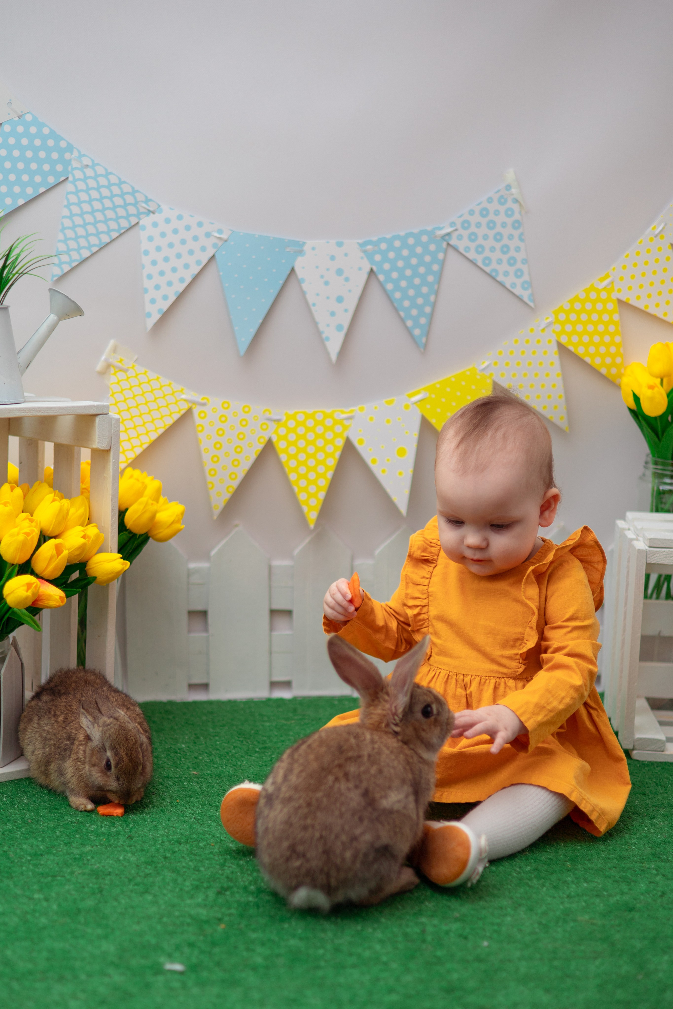 Вероника кролики. Семейный и детский фотограф в Михайловке Татьяна Лестьева
