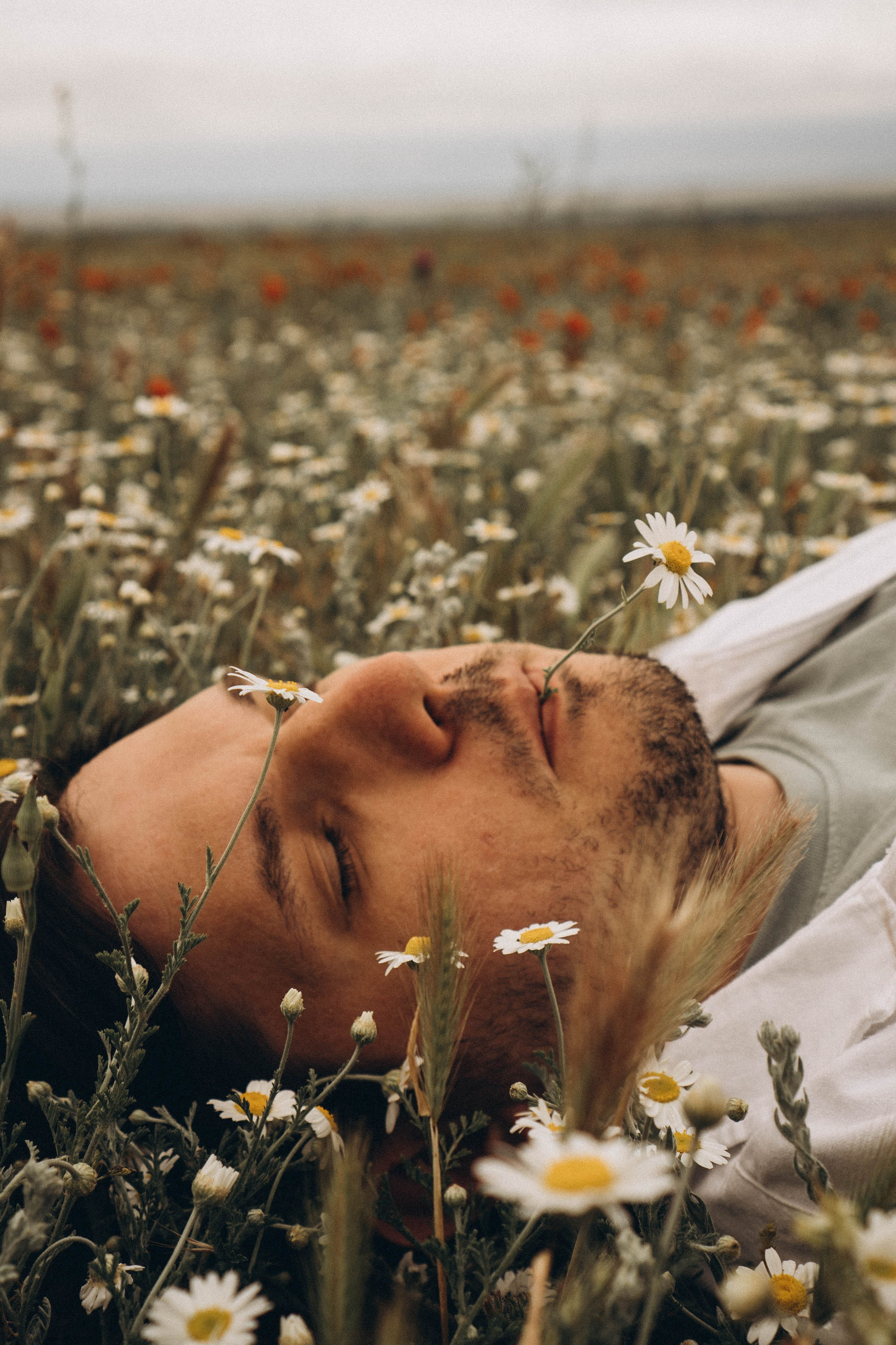 Маки. Профессиональный фотограф, Санкт-Петербург — Виктория Богомолова