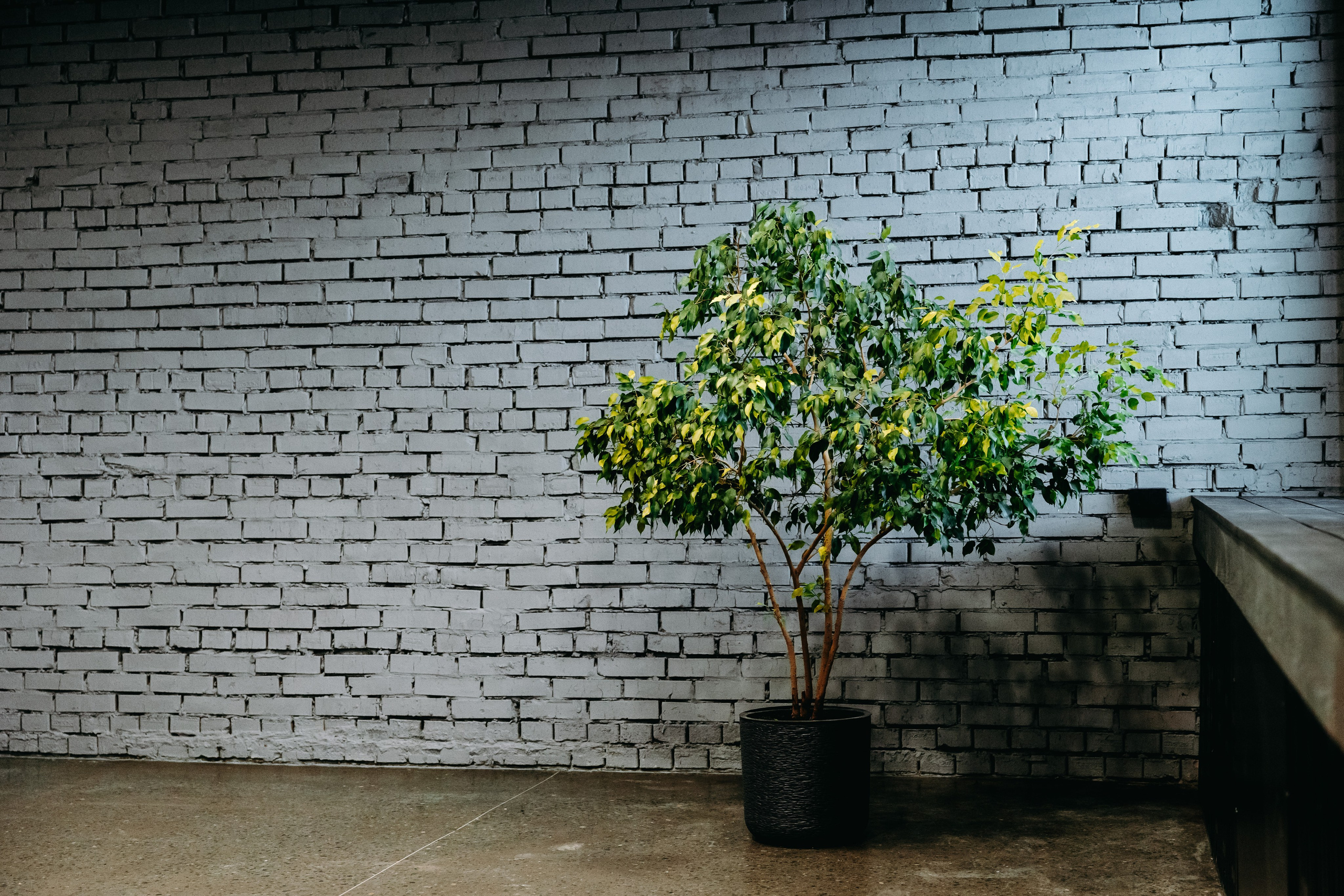 Креативный кластер. Фотограф в Саратове Александр Кухаренко. И не только в Саратове :)