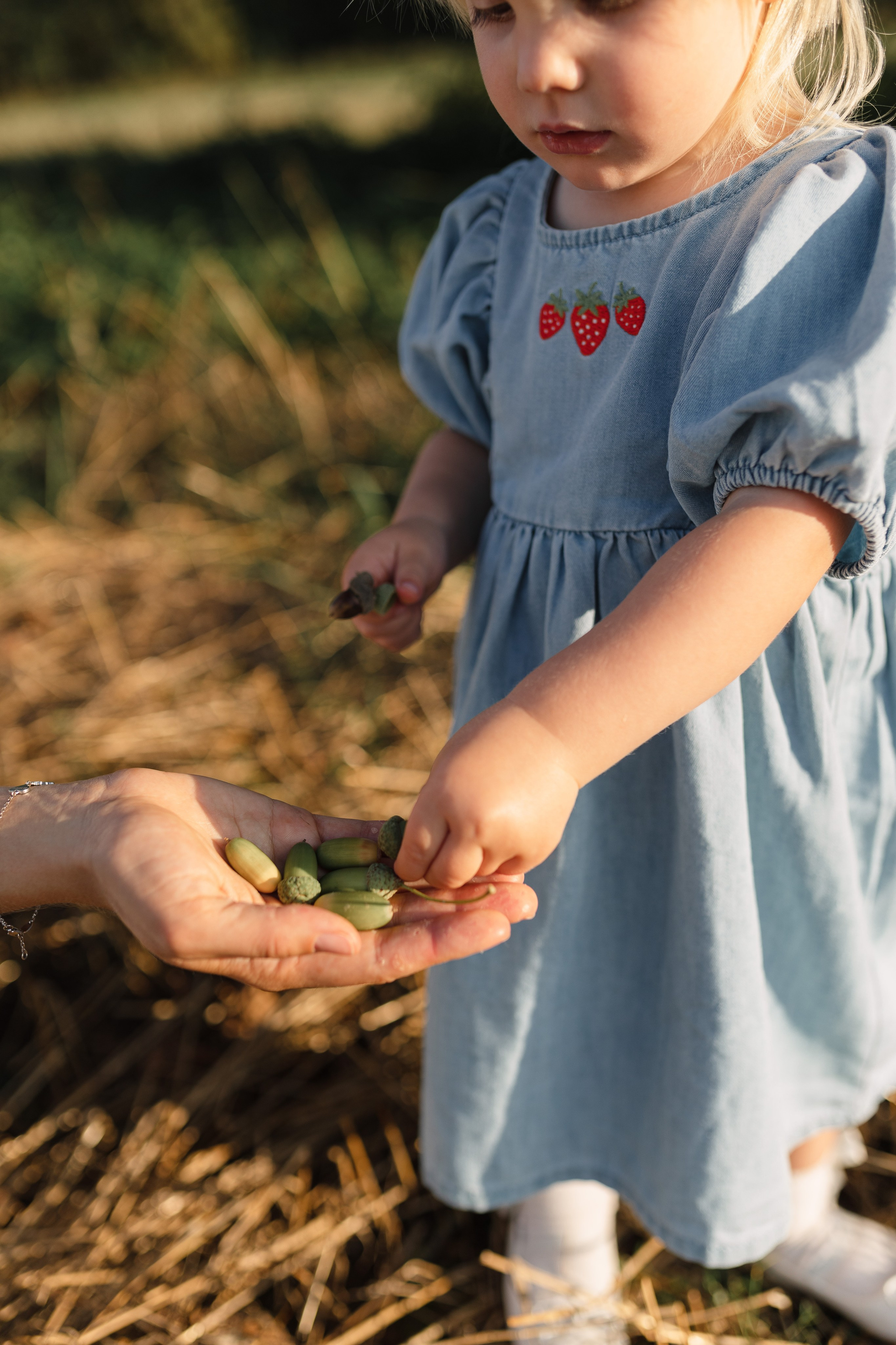 ДУБЫ. Cheta Kovalevsky фотографы