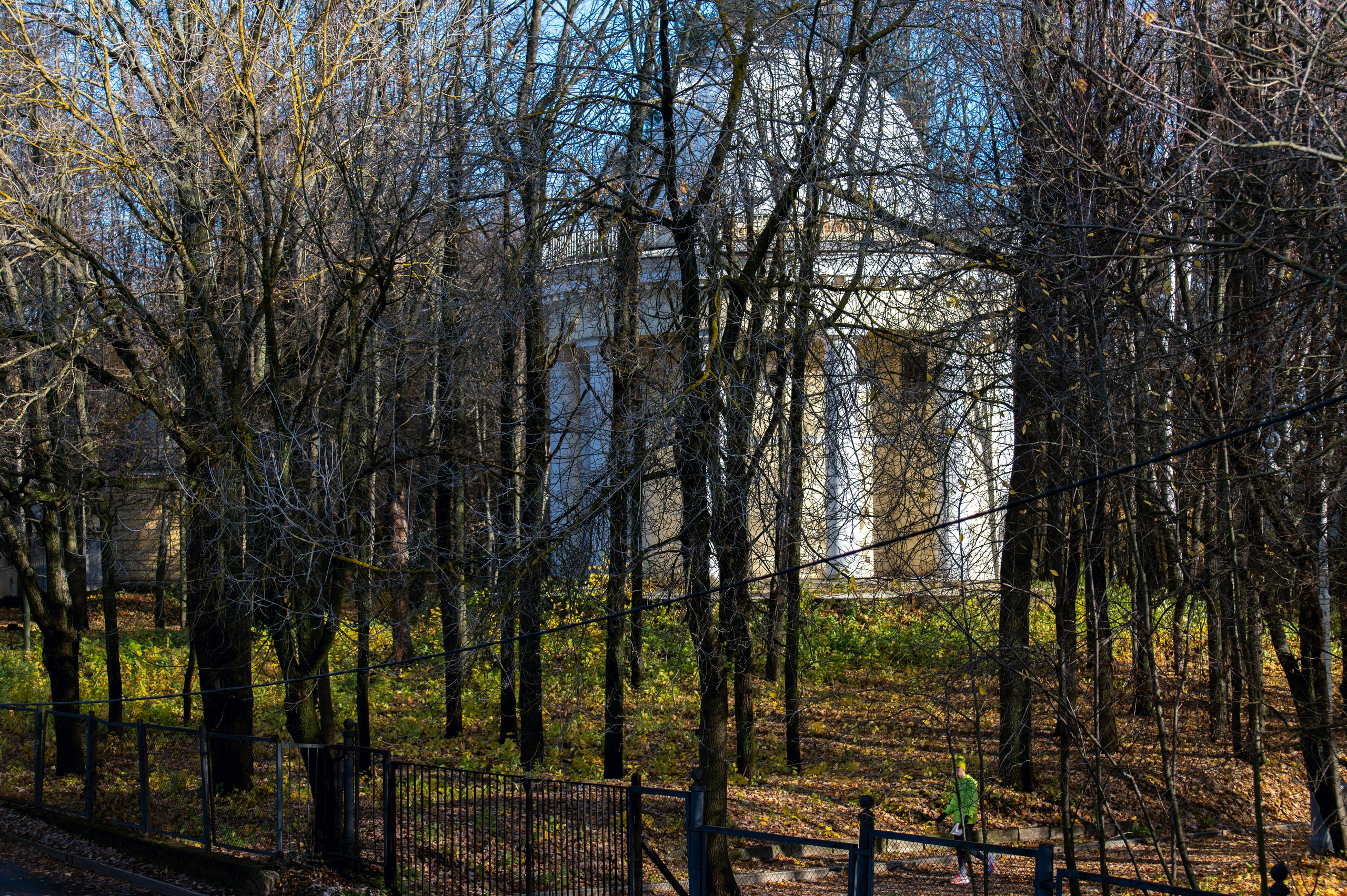 20241102 МГУ. Дмитрий Ремизов. Фотография, как хобби