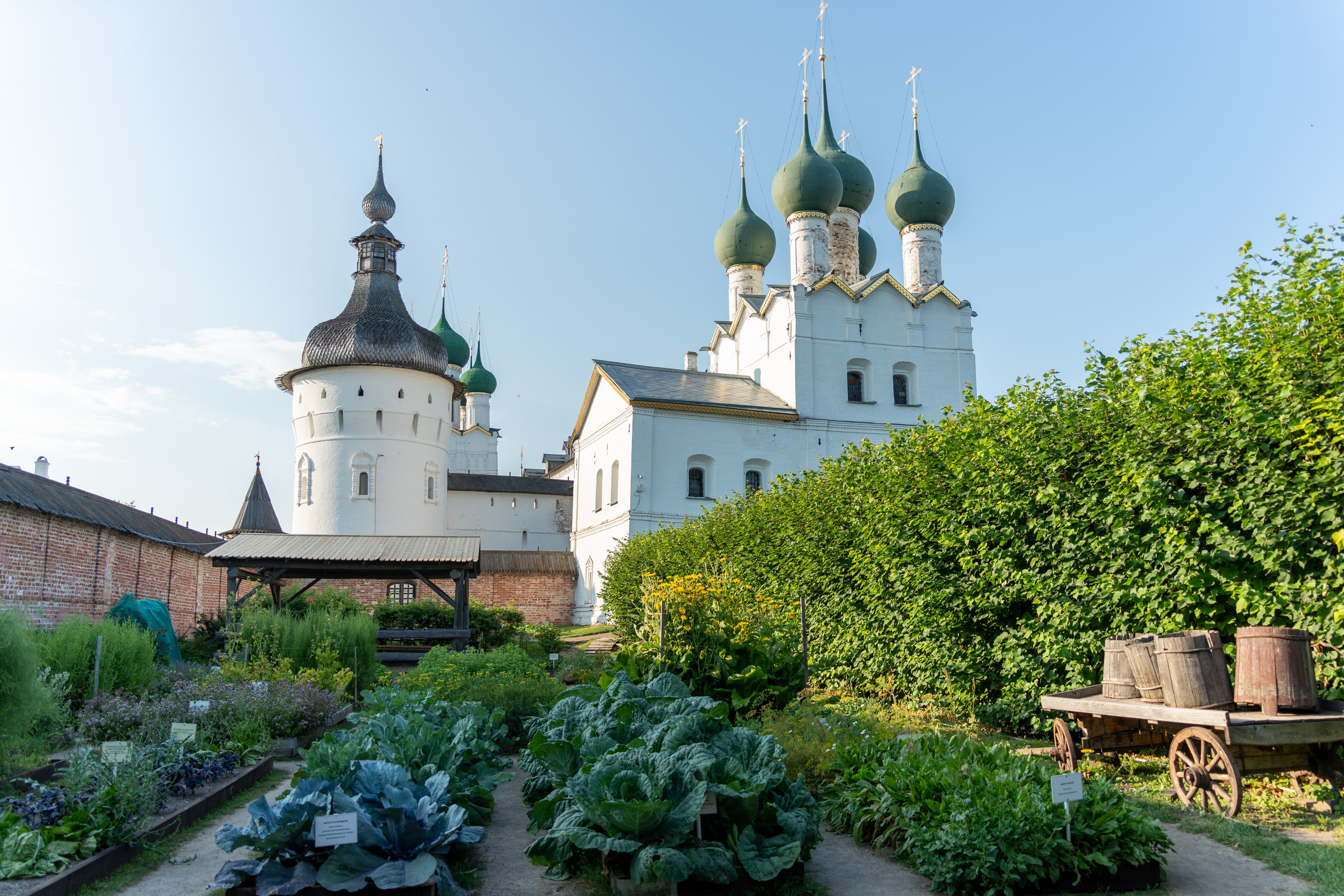 20250729-30 Ростов. Дмитрий Ремизов. Фотография, как хобби