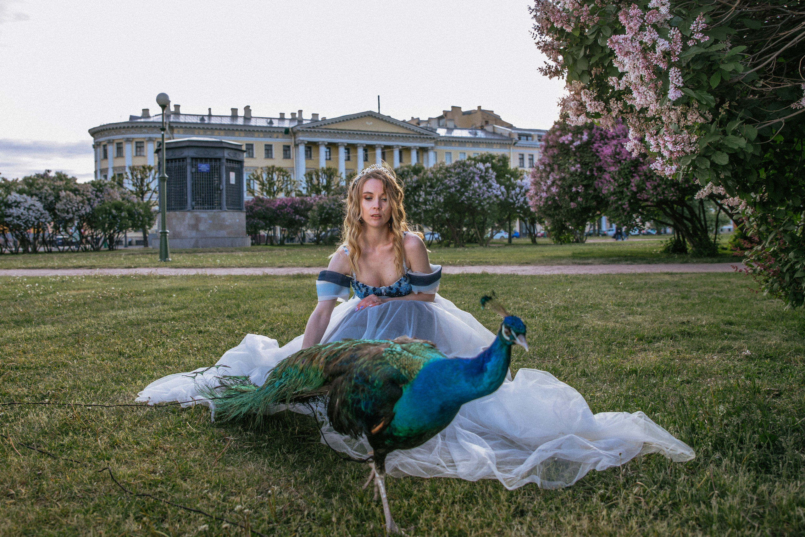 Павлин. Elena Sova — семейный и женский фотограф в Санкт-Петербурге