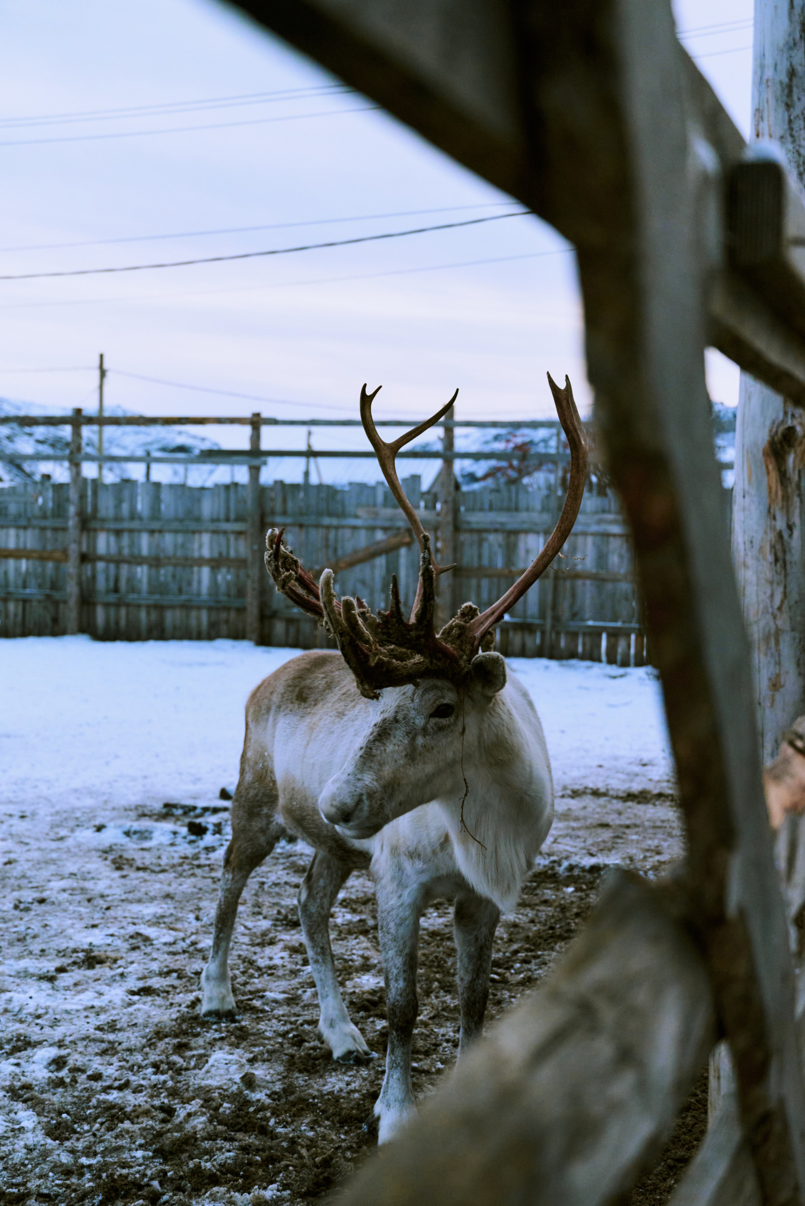 BAON x TERIBERKA. Фотограф Сурков Никита