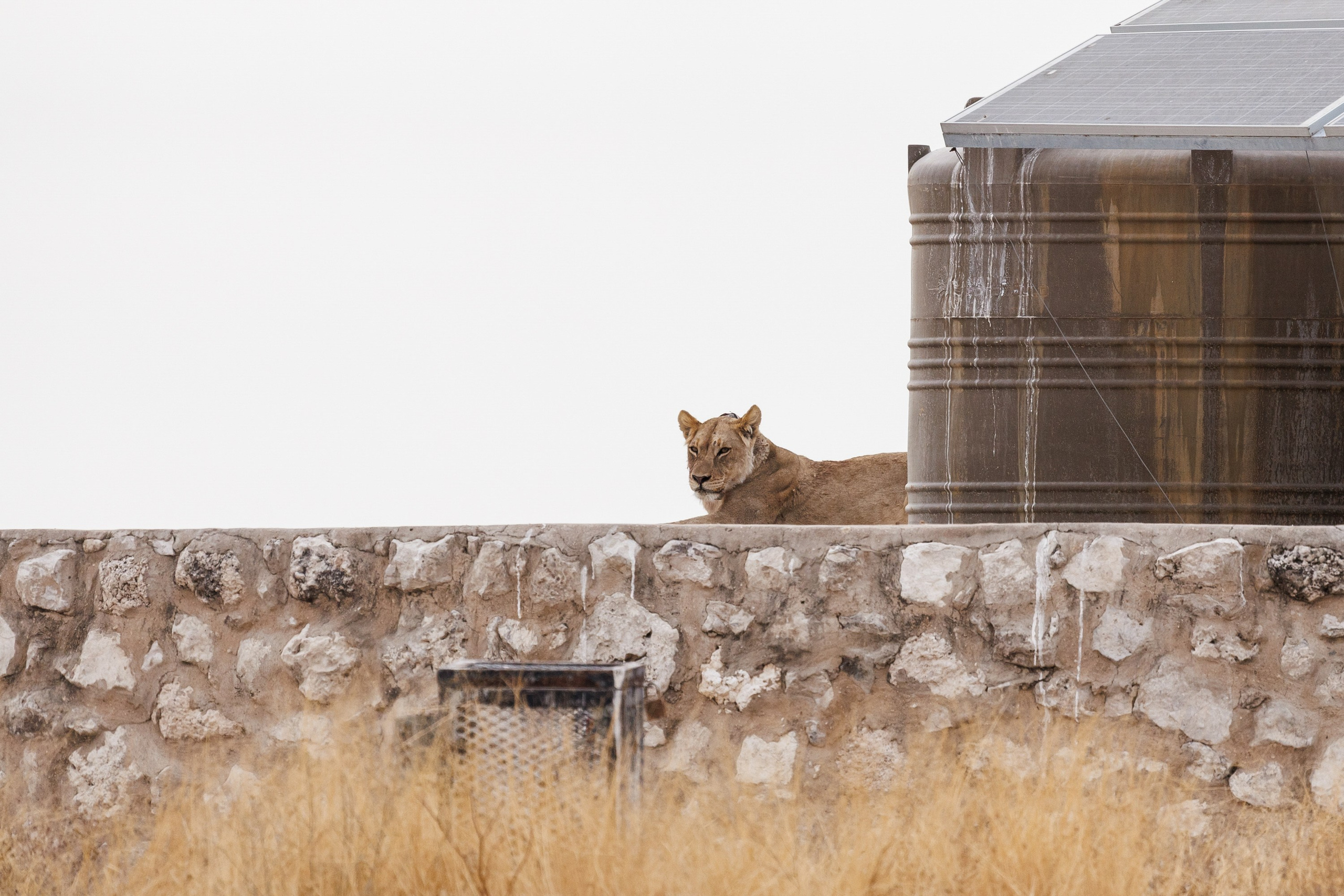 НАМИБИЯ. Роадтрип