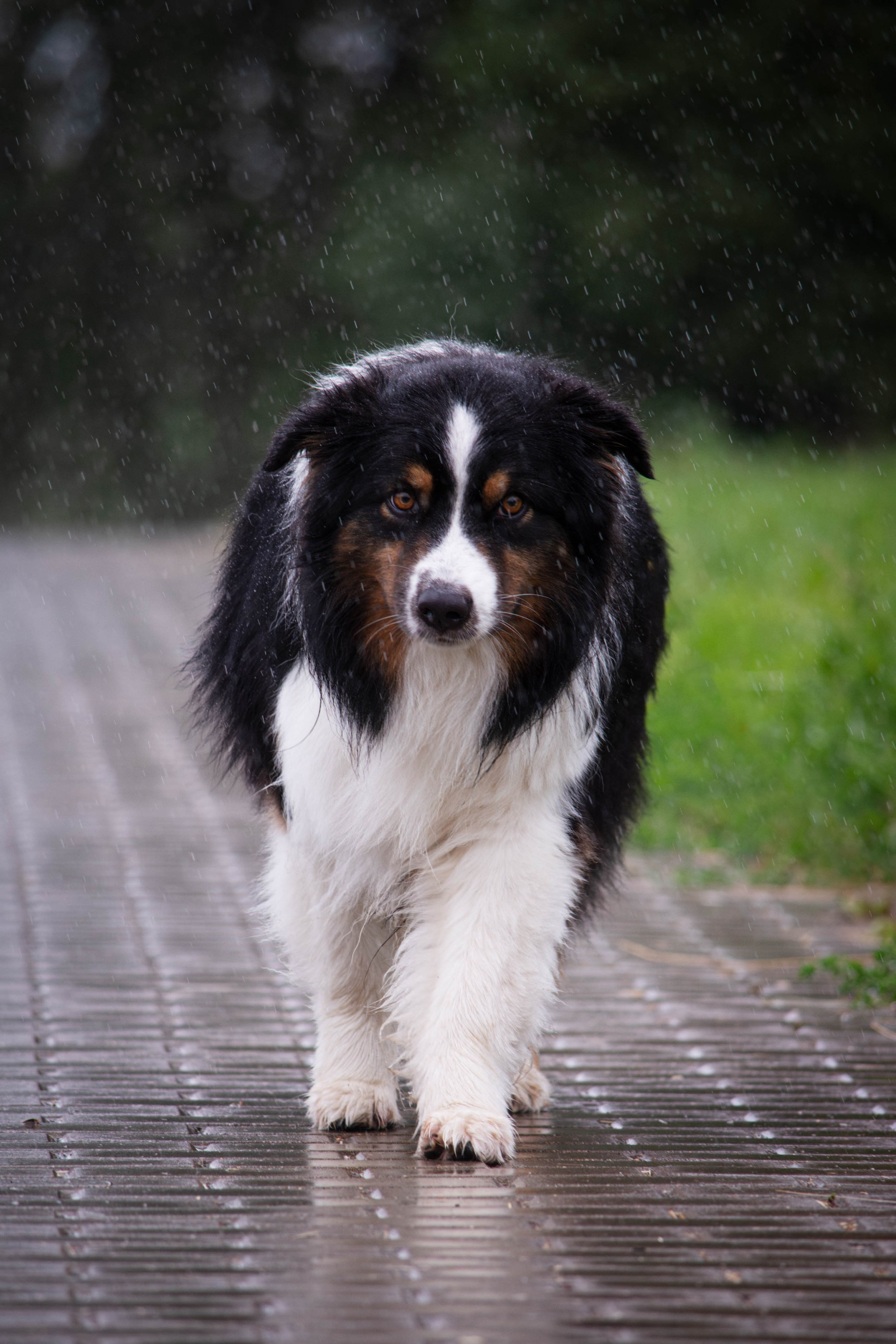 Прогулка в парке Митино. Фотограф Светлана Блинова, Москва и Московская область
