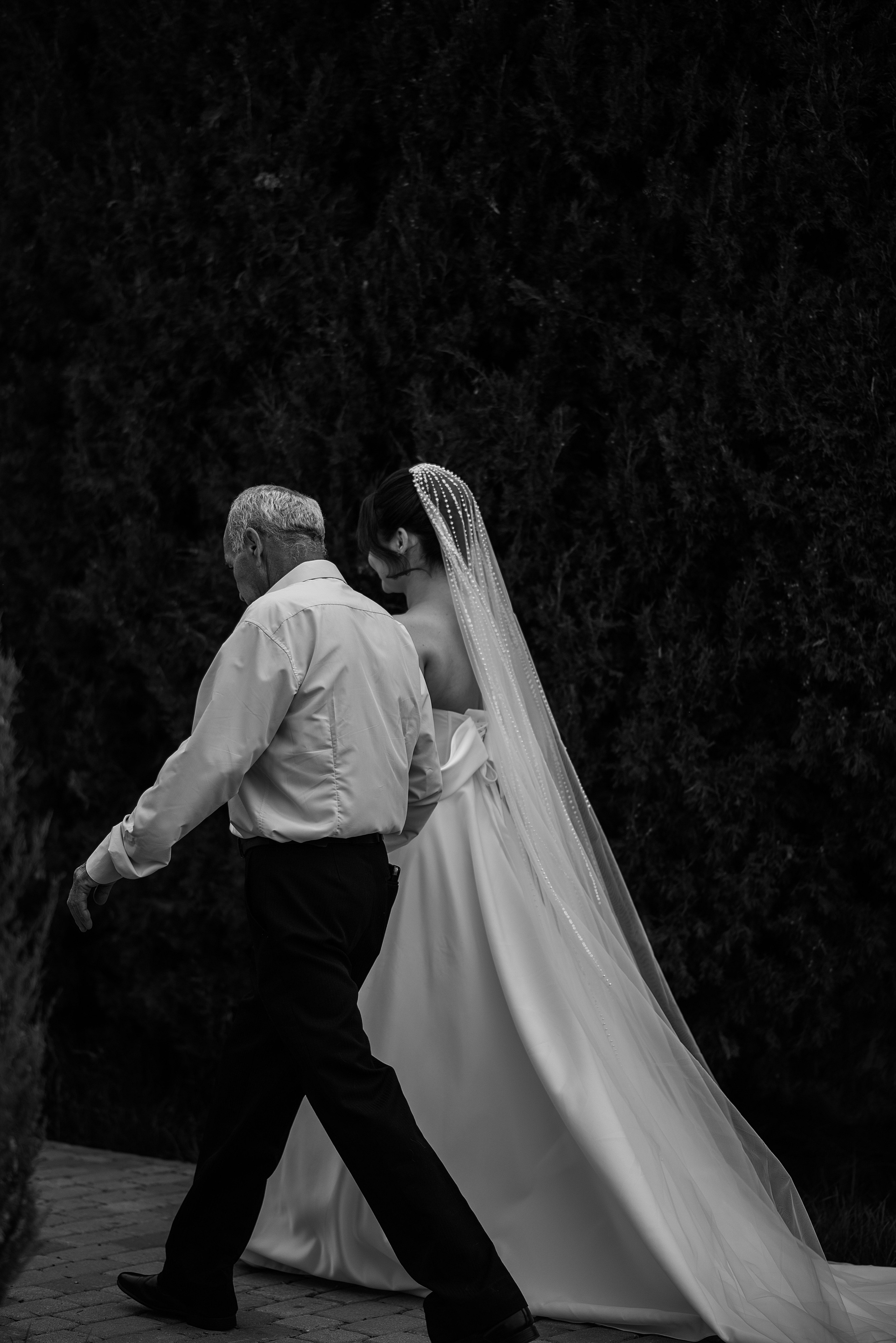 Максим и Эльмира. Свадебный и семейный фотограф в Ростове-на-Дону Алина Астахова