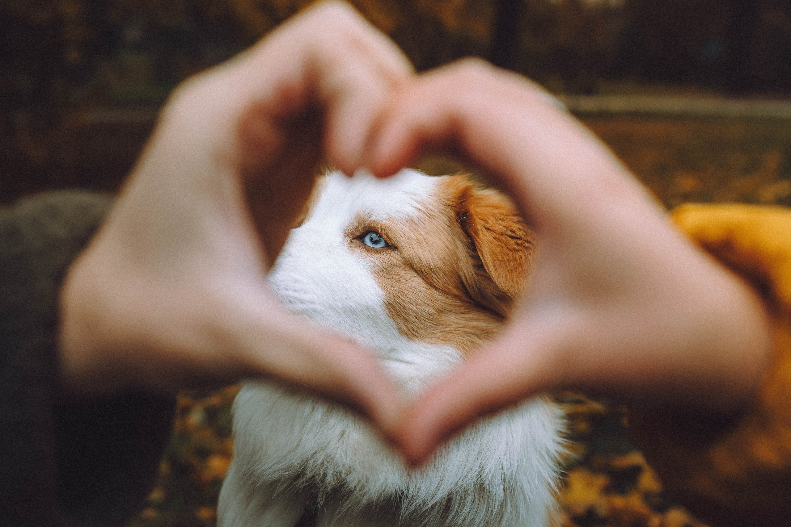 Алина, Витя и Асти