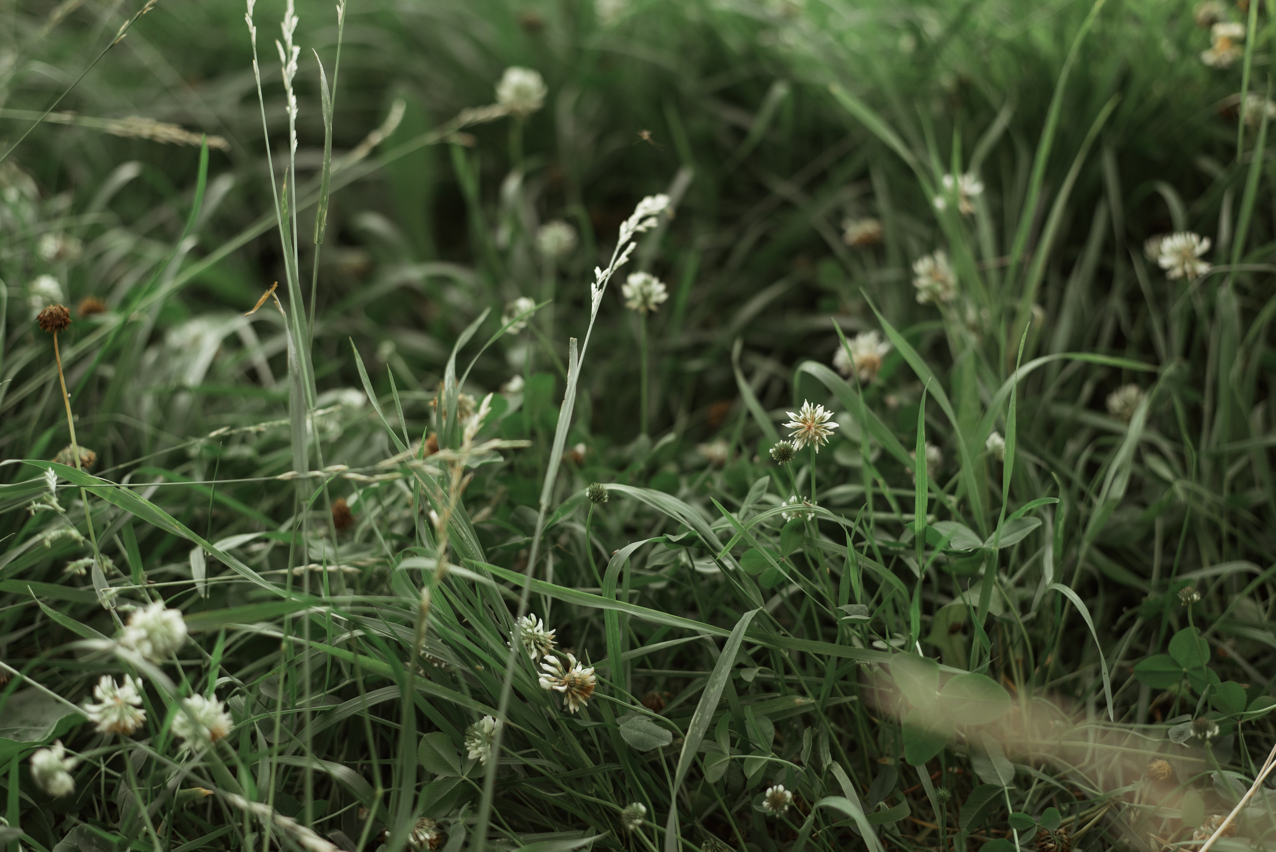 Беременность как чудо. Главная