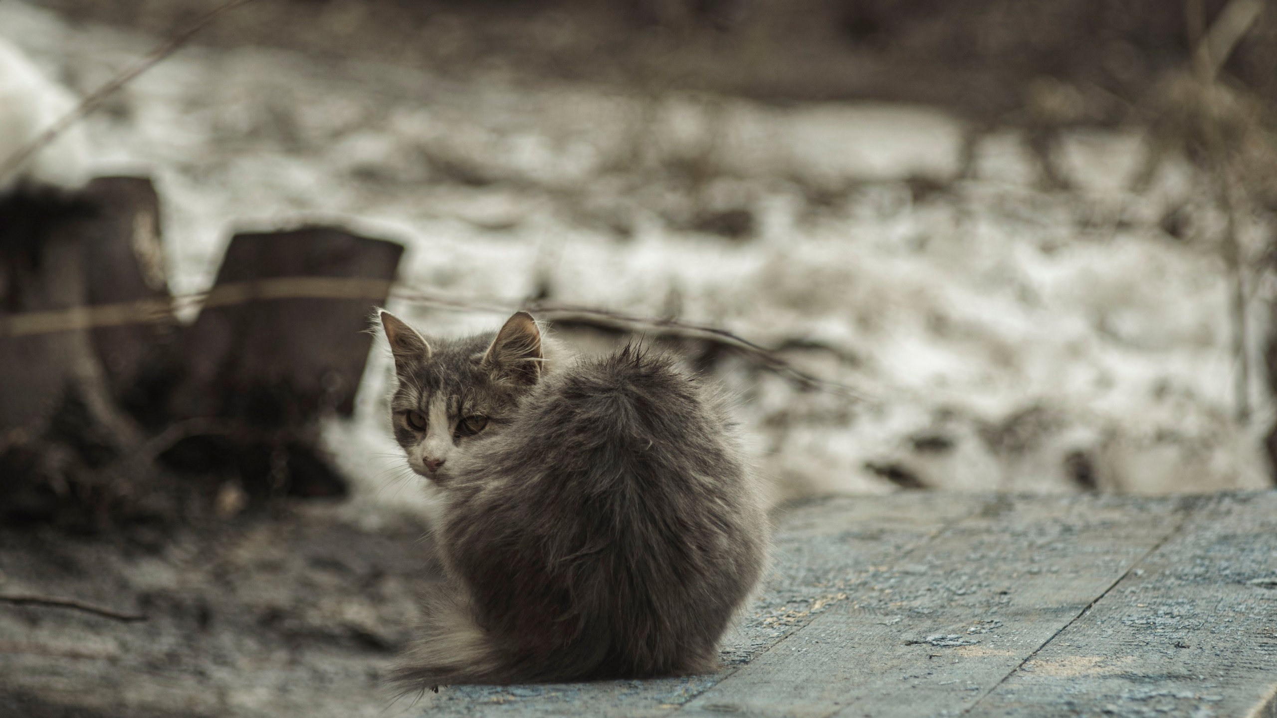 Пейзажи. Фотограф Димитровград Казань Валерия Владимиркина