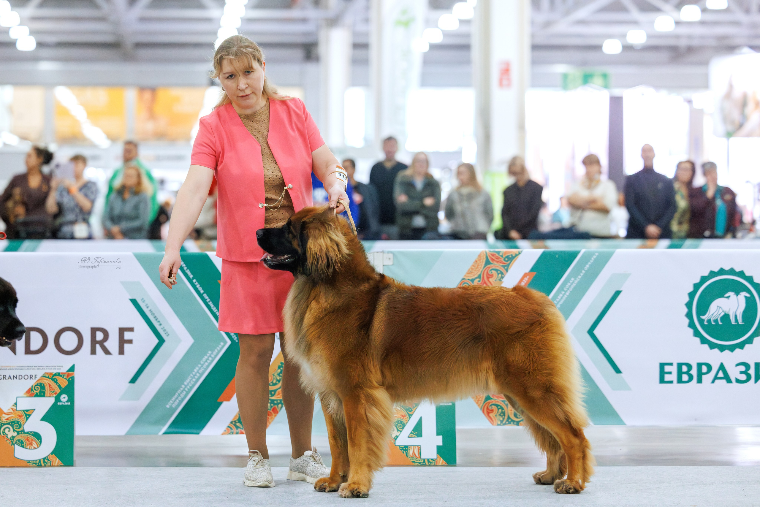 Евразия 15-16.11.2025. Фотограф-анималист Юлия Германика