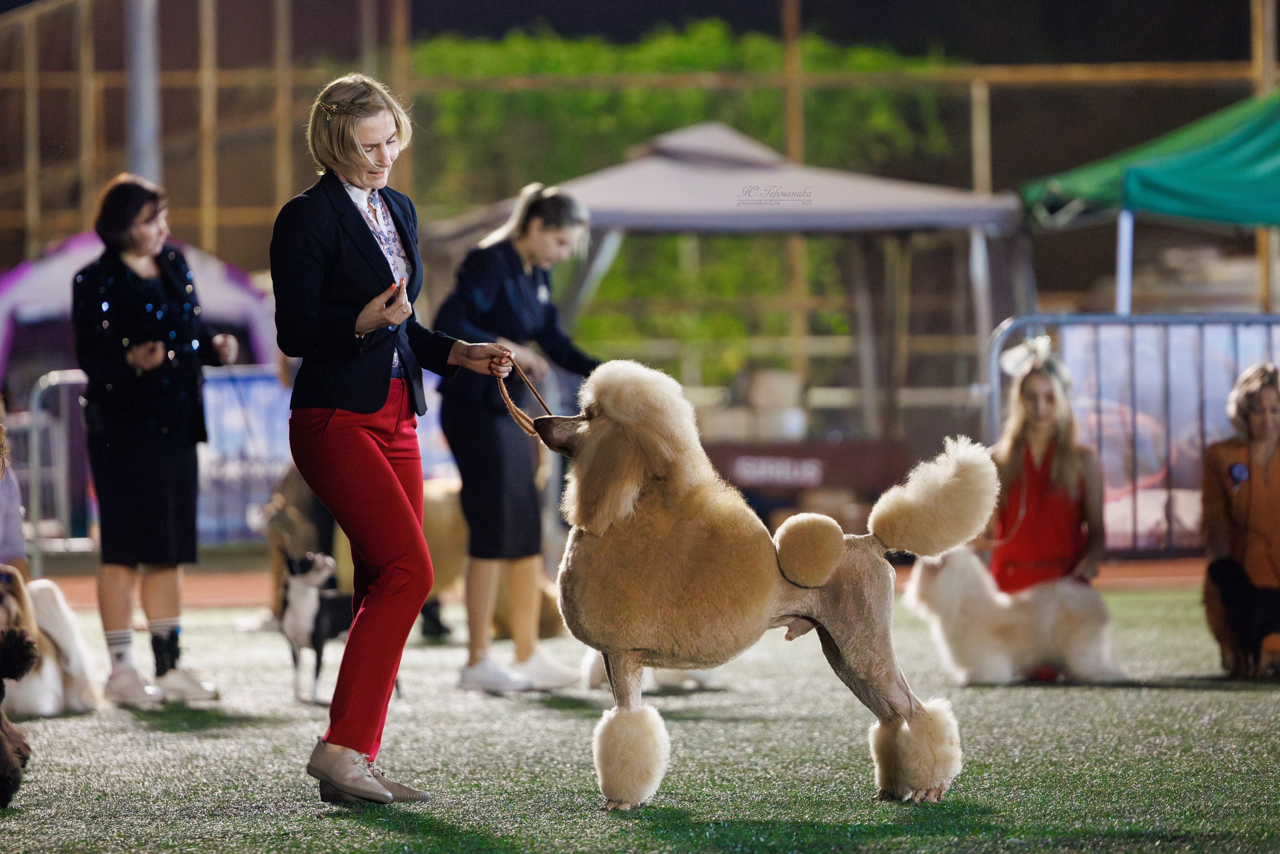 Волгоград 2-4.08.2024. Фотограф-анималист Юлия Германика