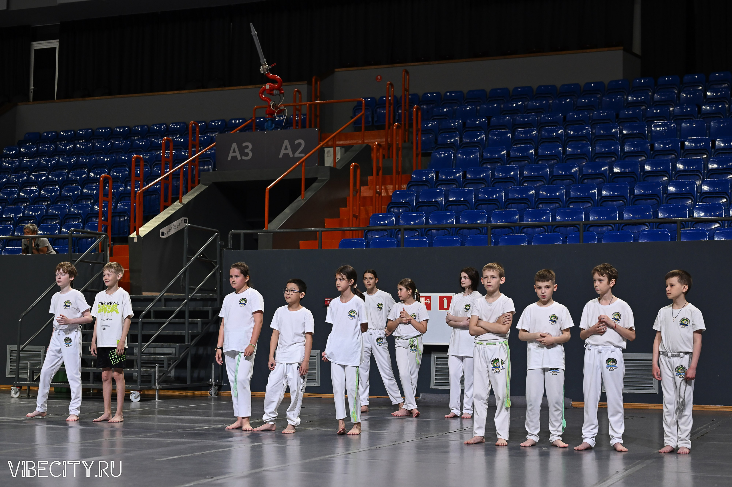 Капоэйра. Вручение поясов. VIBECITY.RU Вайб Сити Ру Фоторепортажи Фотоотчеты Калининград