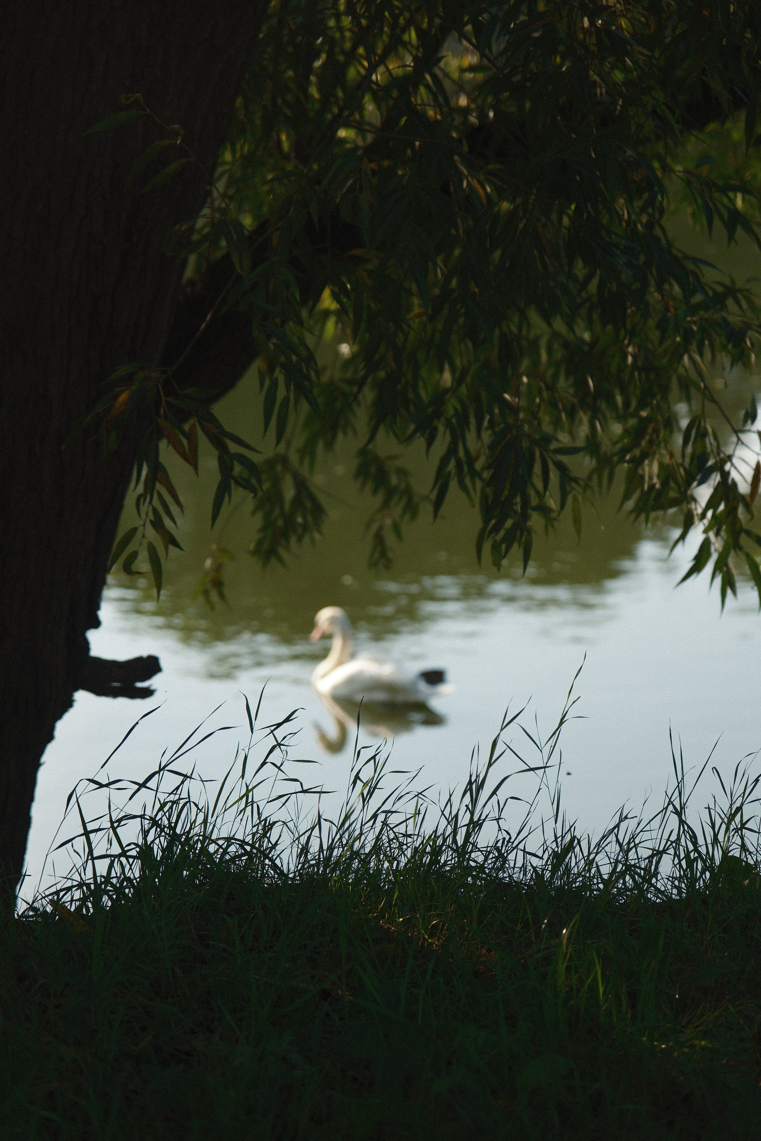 Koenigsberg. M. Neizvestniy — уличная и спортивная фотография