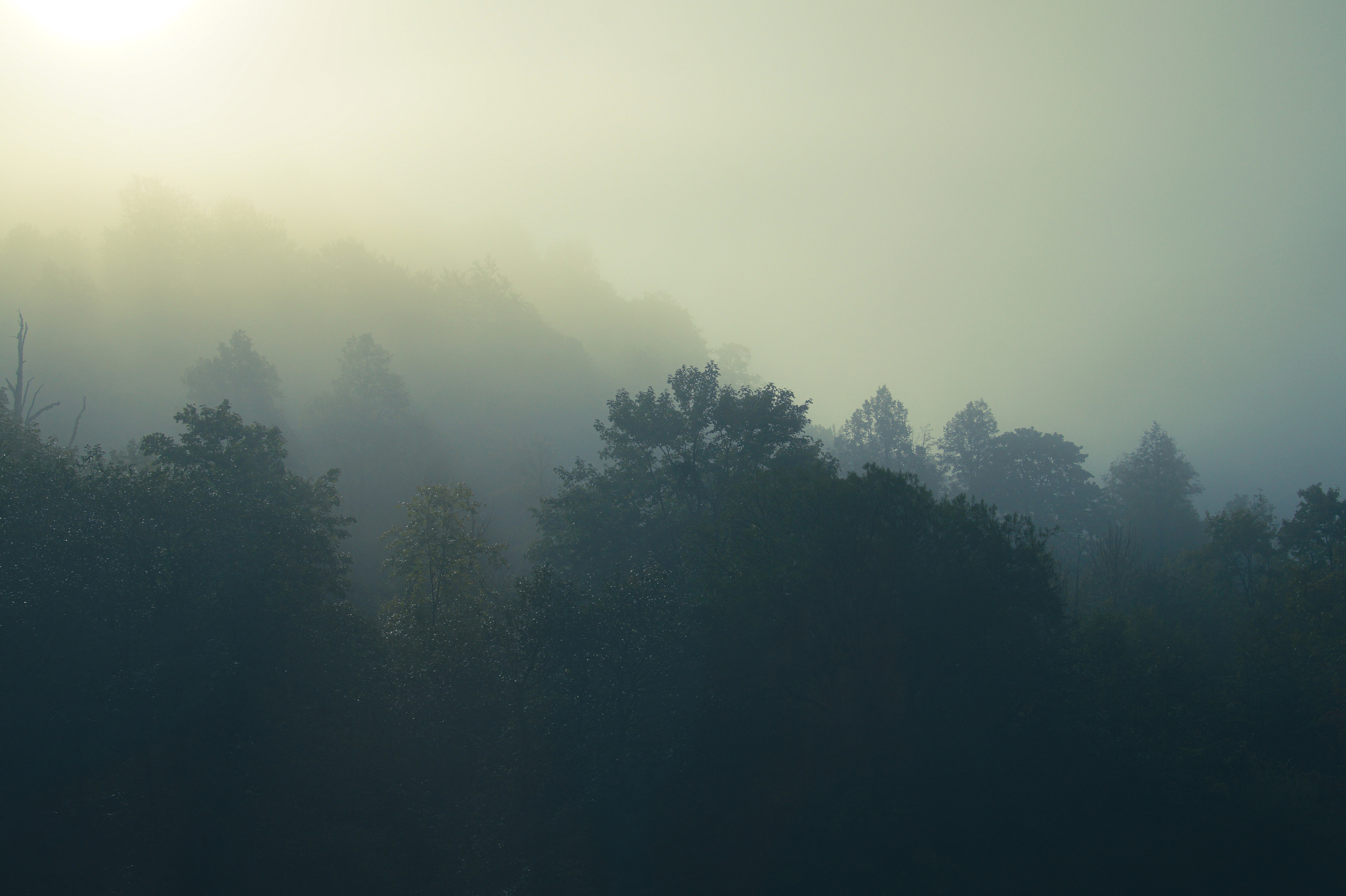 Черногория. Креатор Ольга Яш