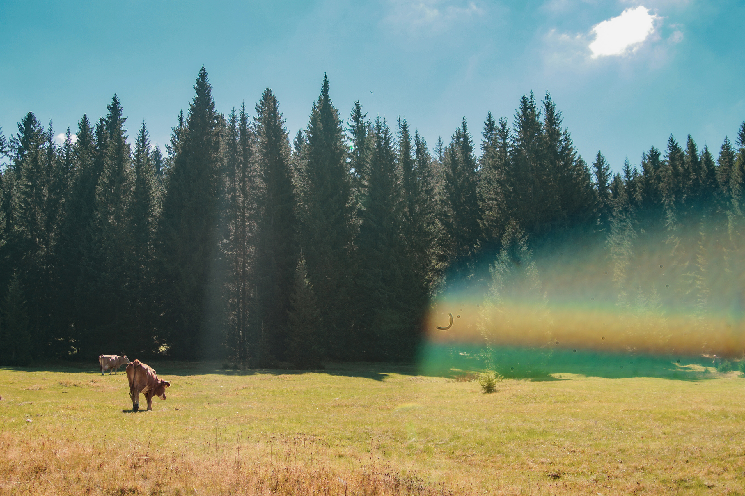 Черногория. Креатор Ольга Яш