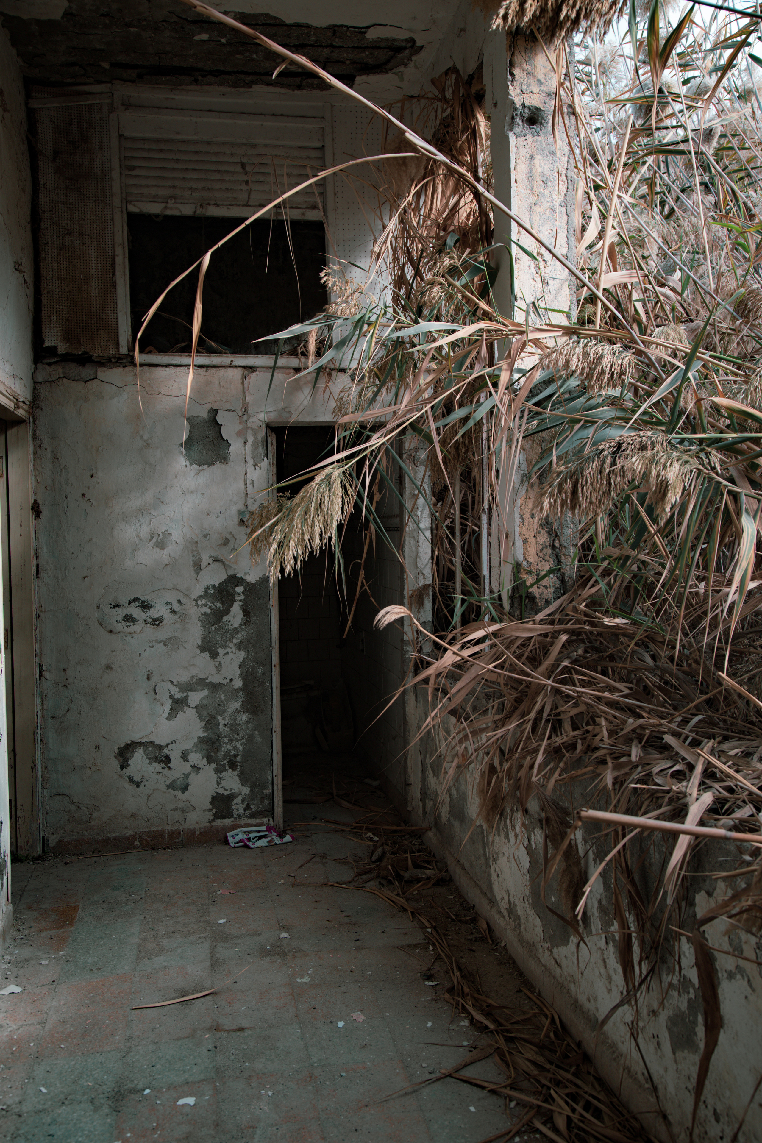 Кипр. Креатор Ольга Яш