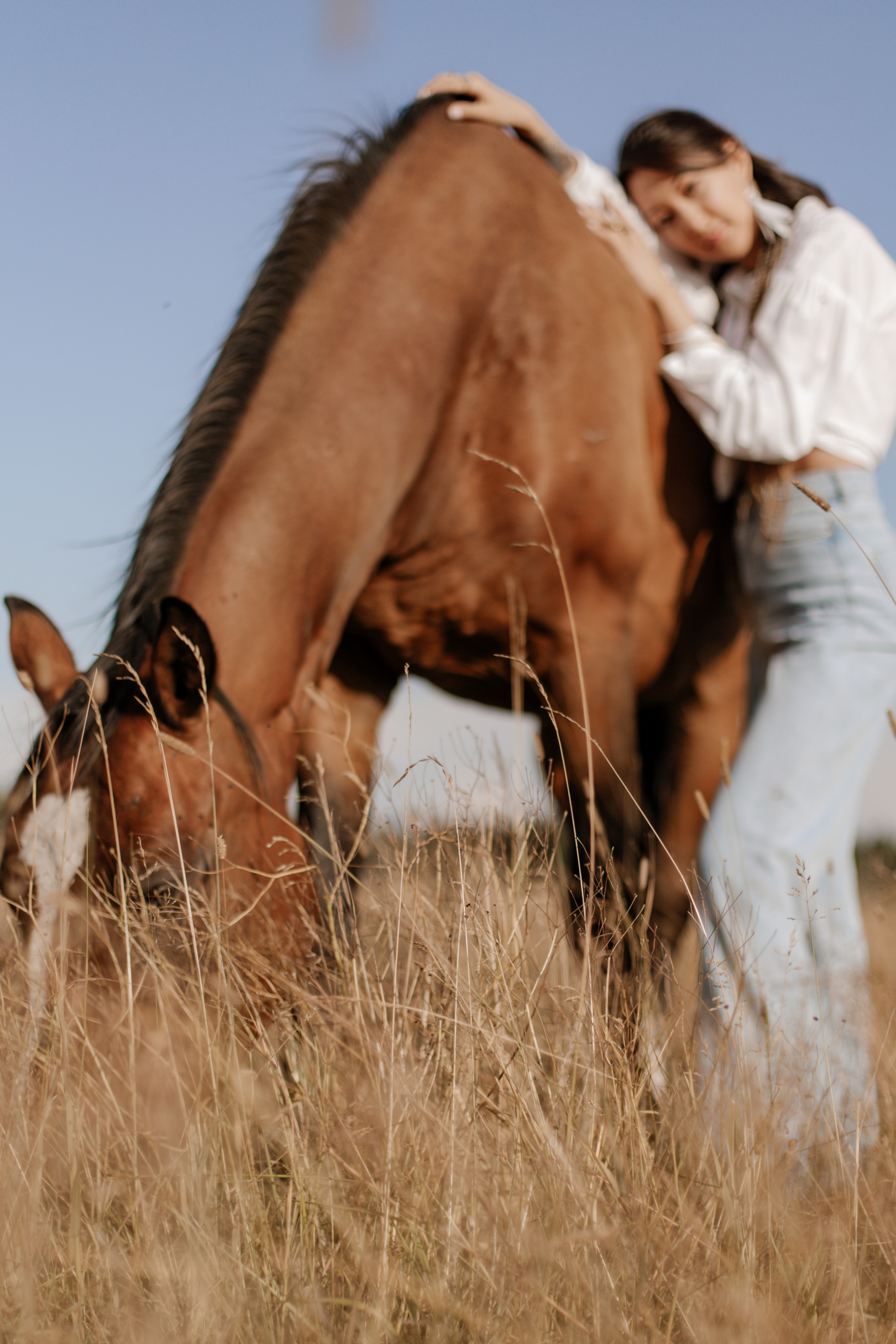 Пленер: Оковы цивилизации. Креатор Ольга Яш