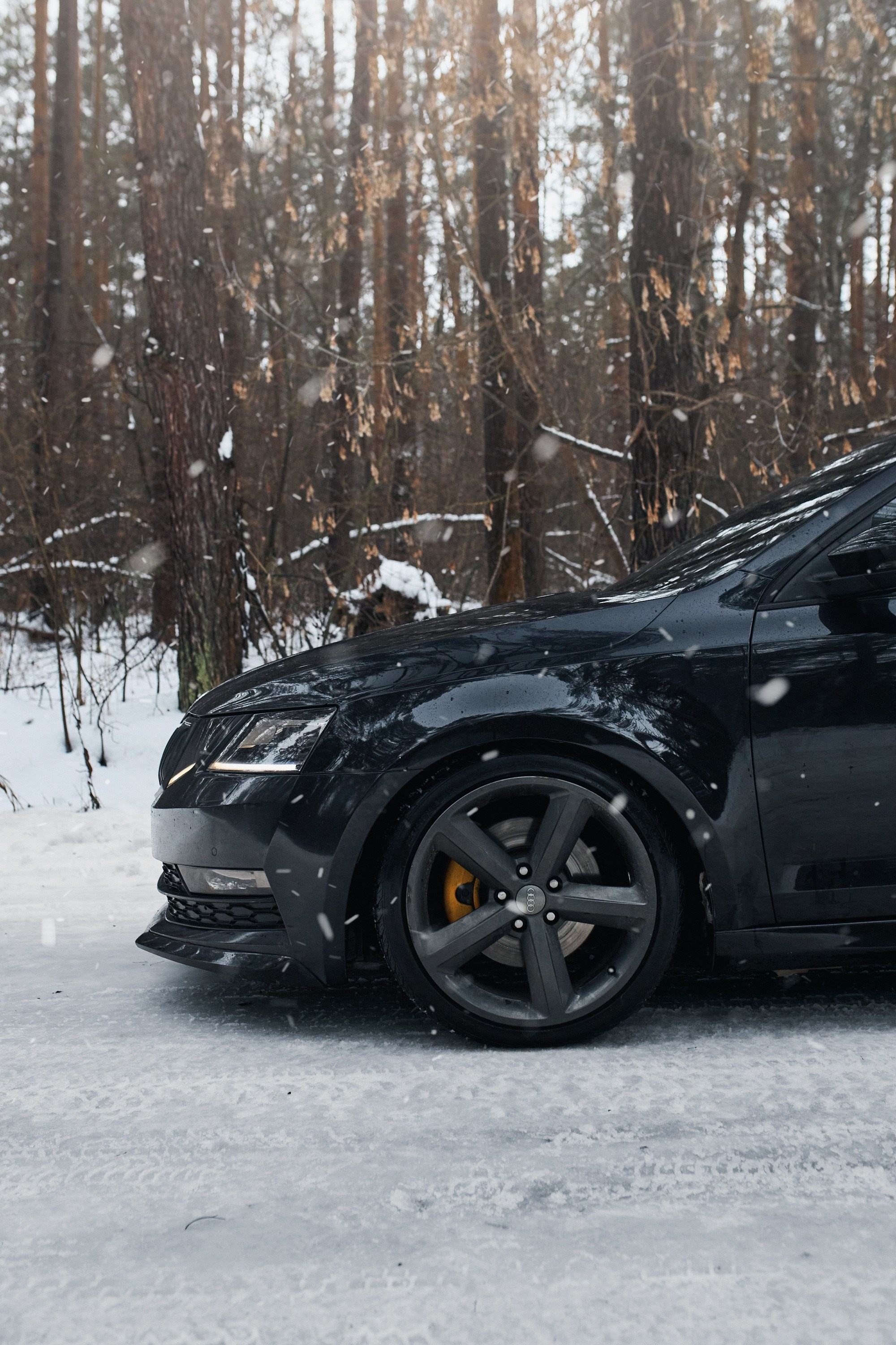 Skoda Octavia | @fuck_credit. DKARPOCHEVA PHOTOGRAPHY