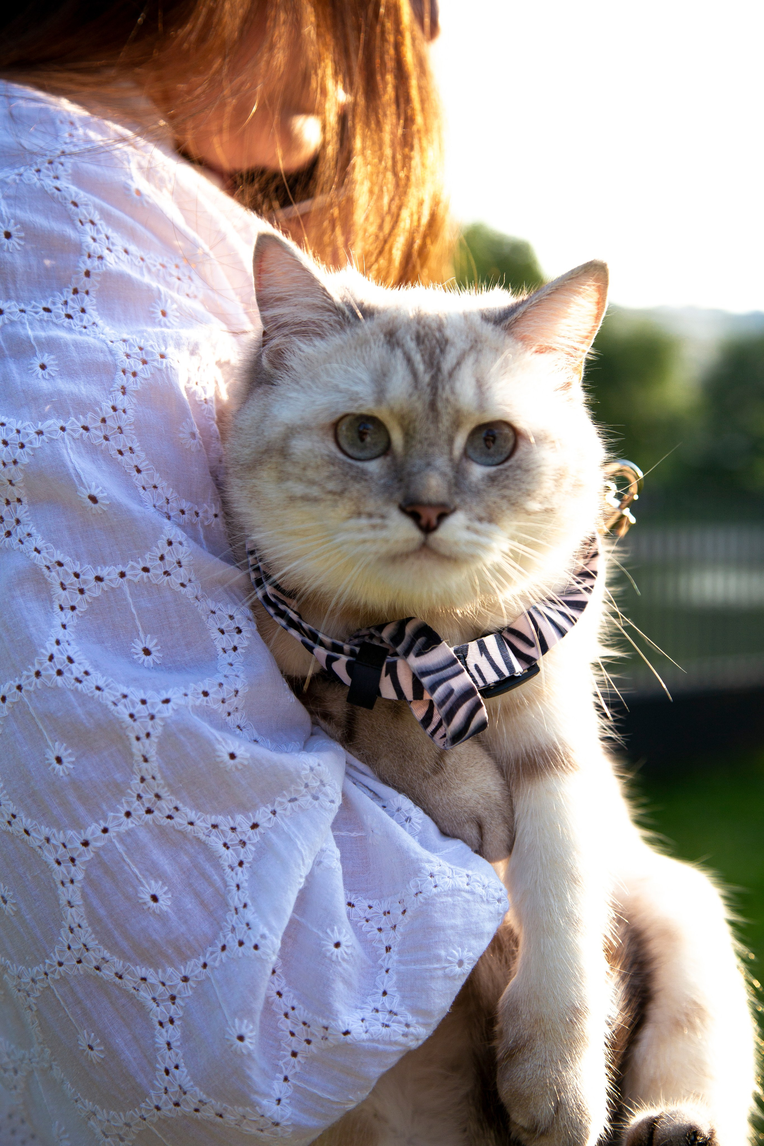 В моде тёплые коты. Репортажный и портретный фотограф Казань / Горячих Полина