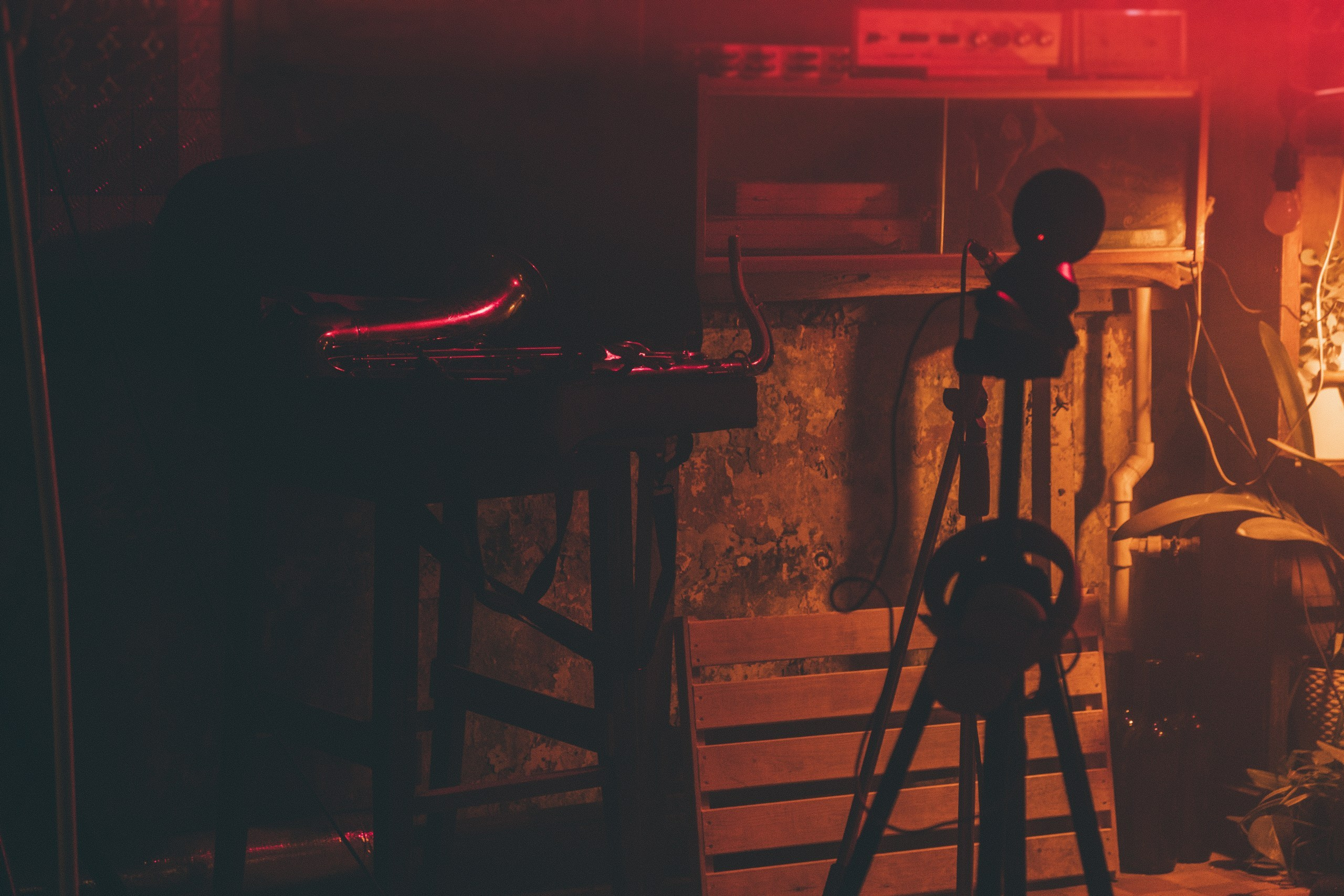 Varya Dunaevskaya. Индивидуальные съемки, портретный фотограф