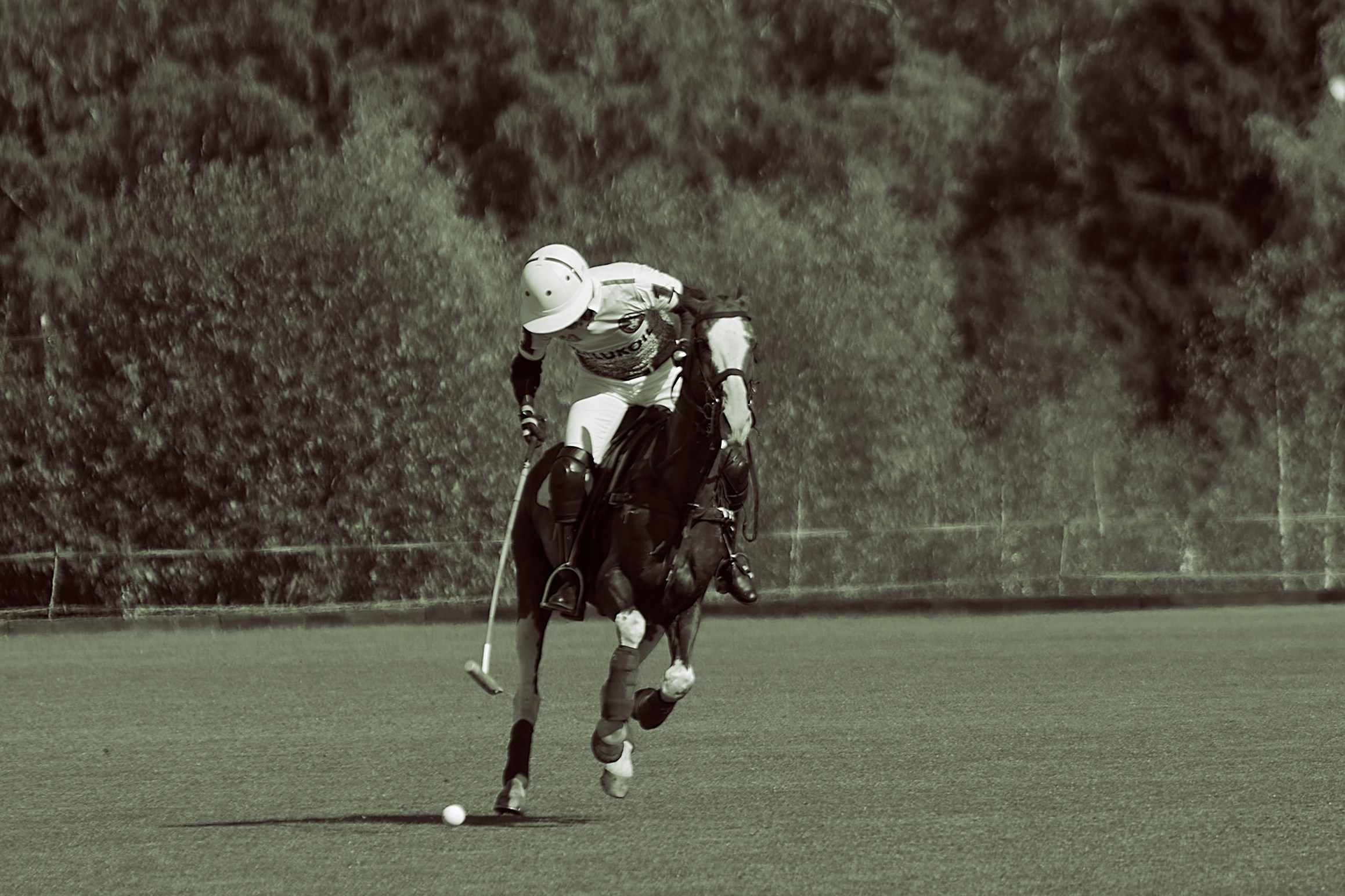 HORSE POLO. Фотограф Наталья Леонова