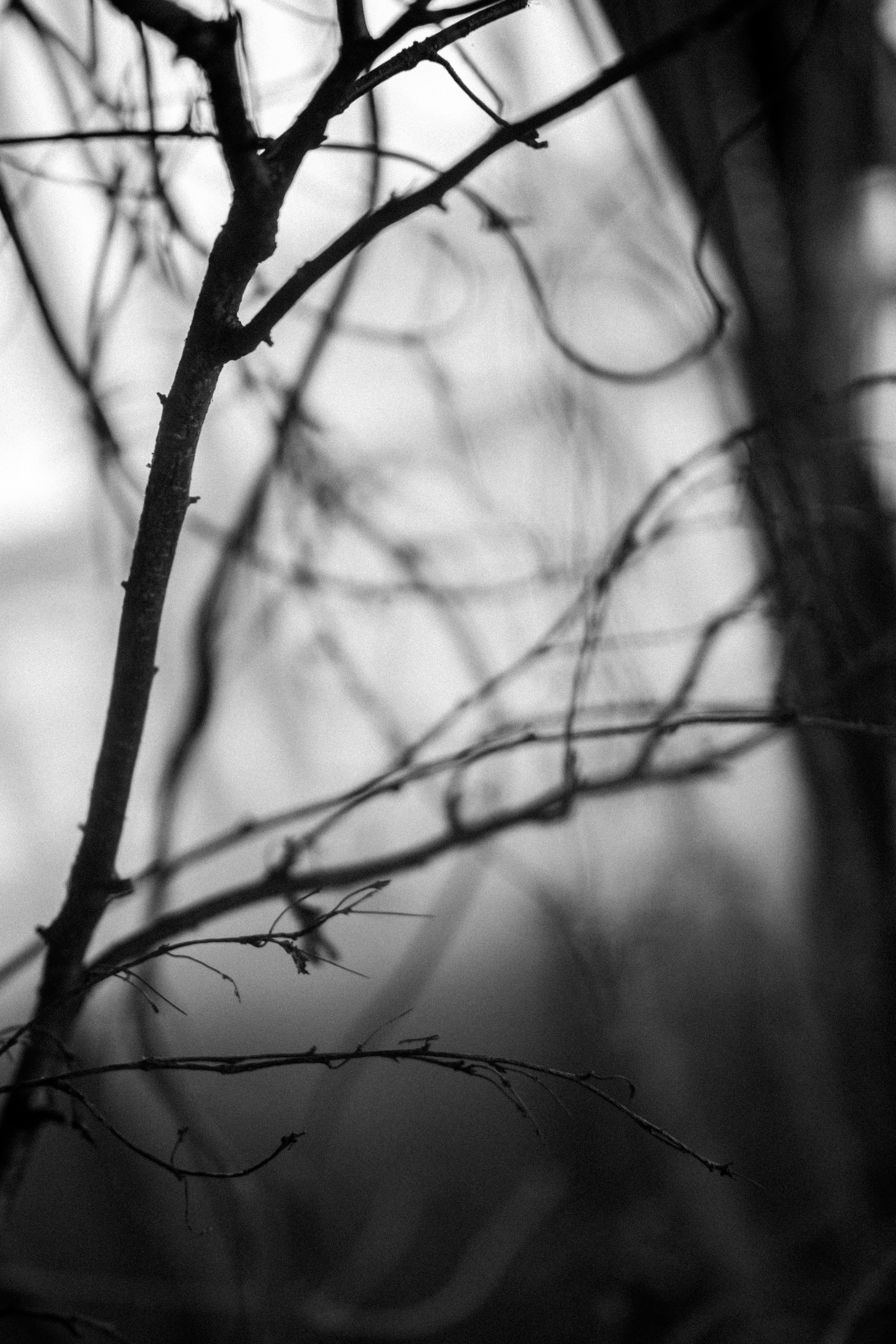 ОКСАНА. КРИСТИНА ГУСЬКОВА