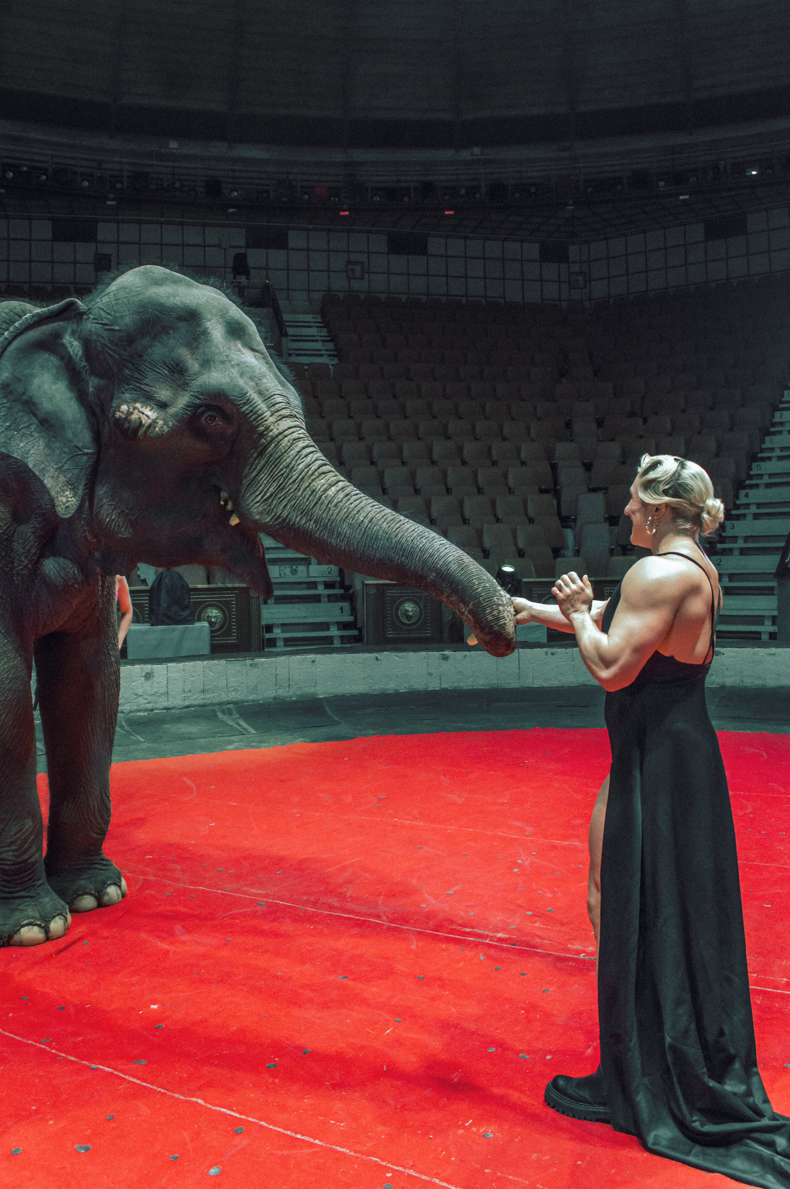 Екатерина. Главная