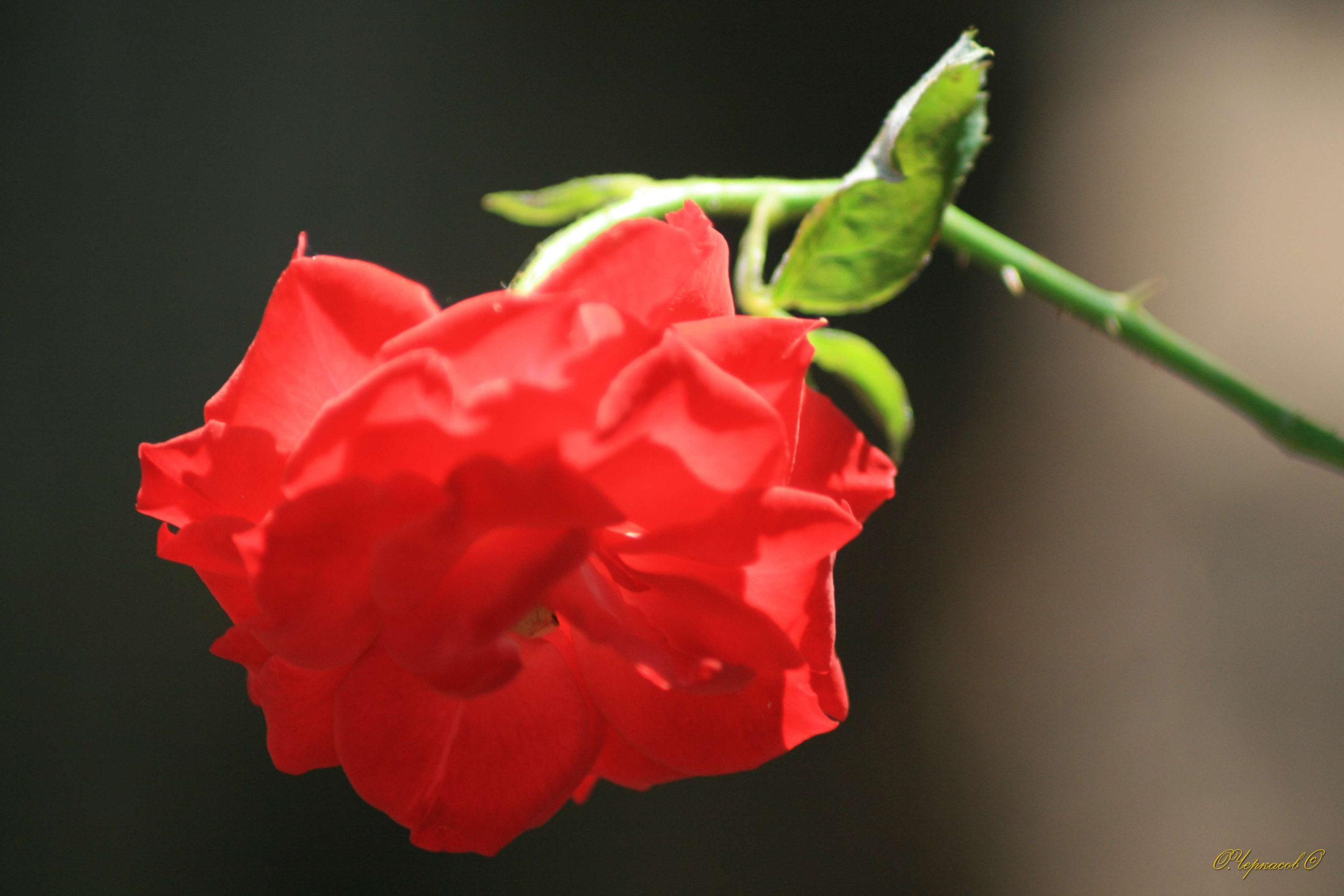 Вьетнам 2008 г. Улица, люди, жизнь…