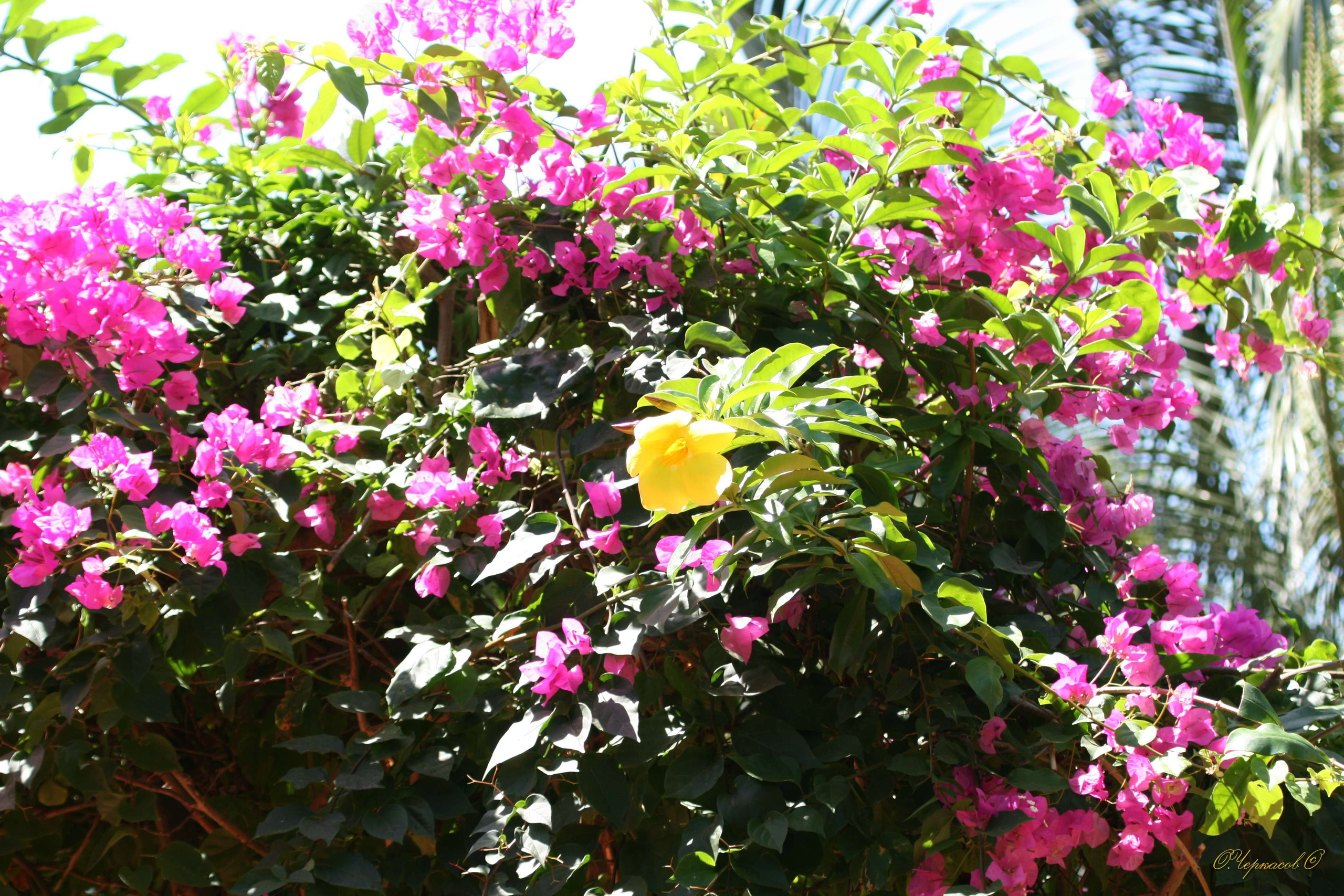 Вьетнам 2008 г. Улица, люди, жизнь…