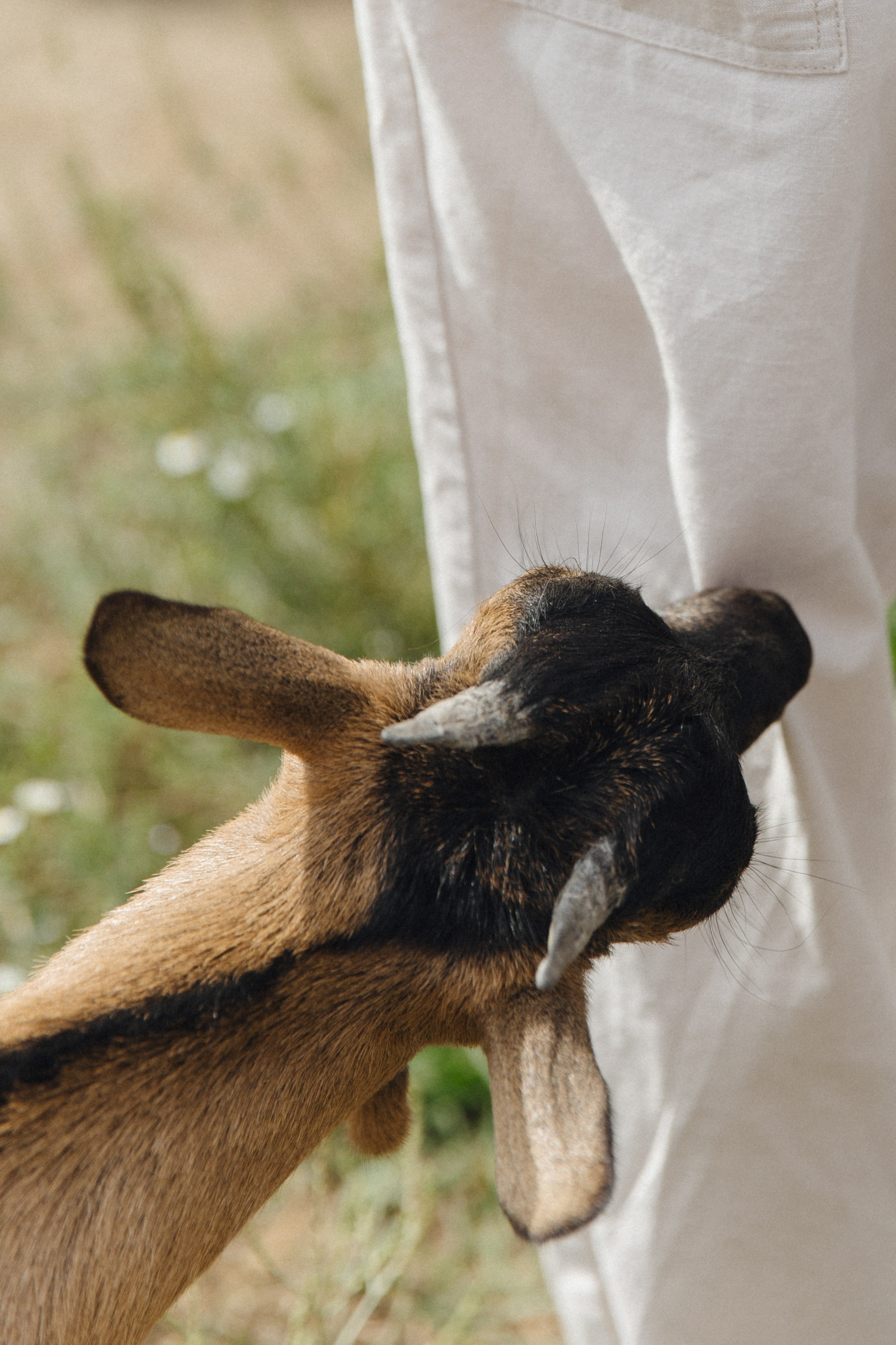Глоток воздуха. Свадебный фотограф в Краснодаре и Сочи Винидиктова Екатерина