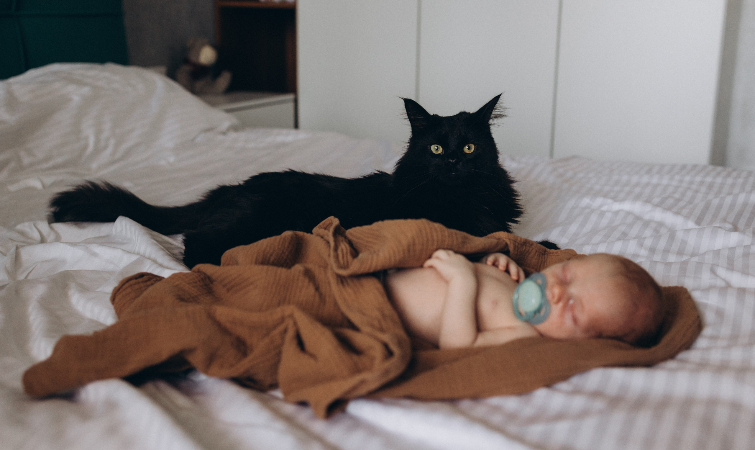 Домашние. Семейный фотограф и видеограф Наумова Анна