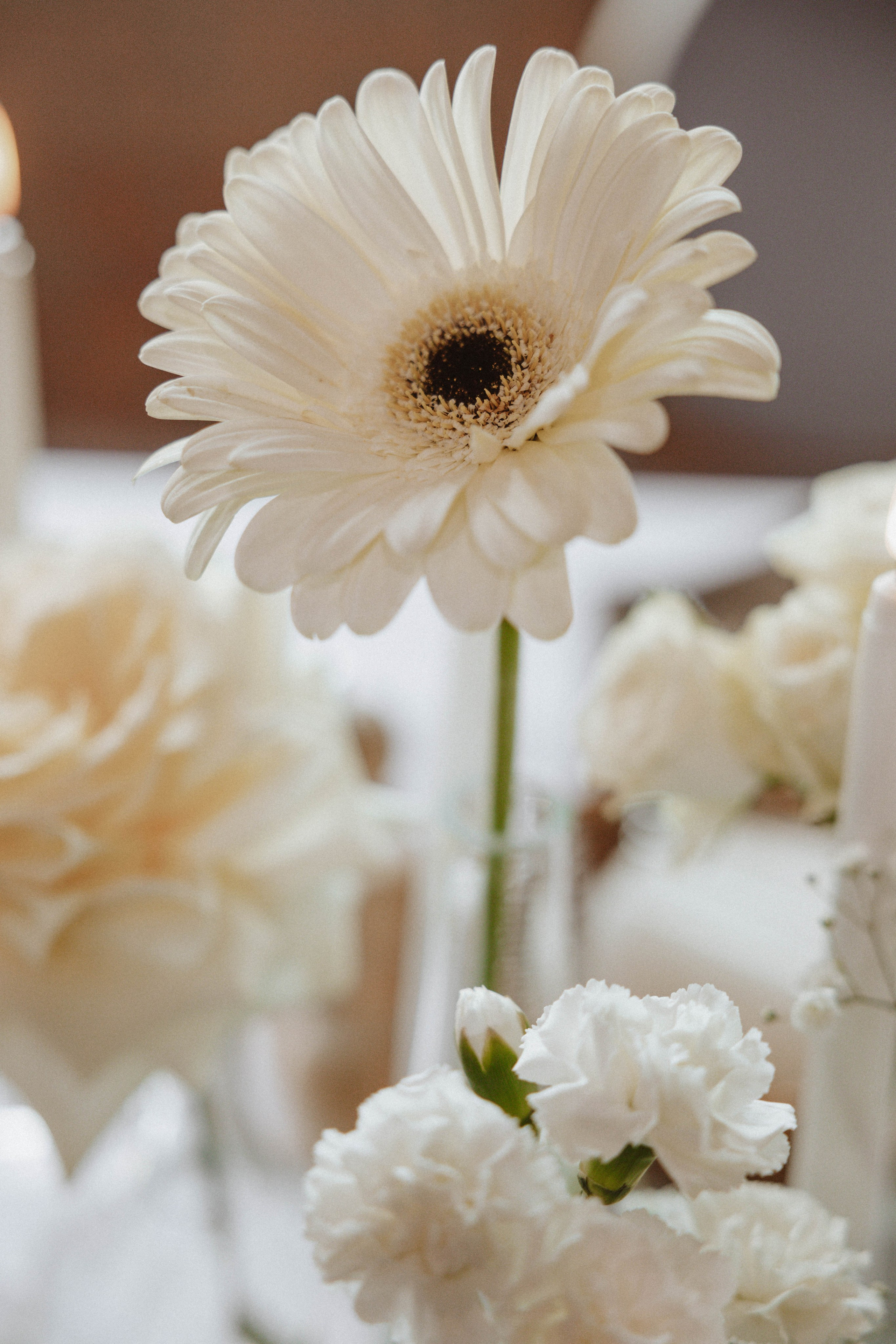 Сергей & Алия. Свадебный фотограф Красноярск Элина Леонова