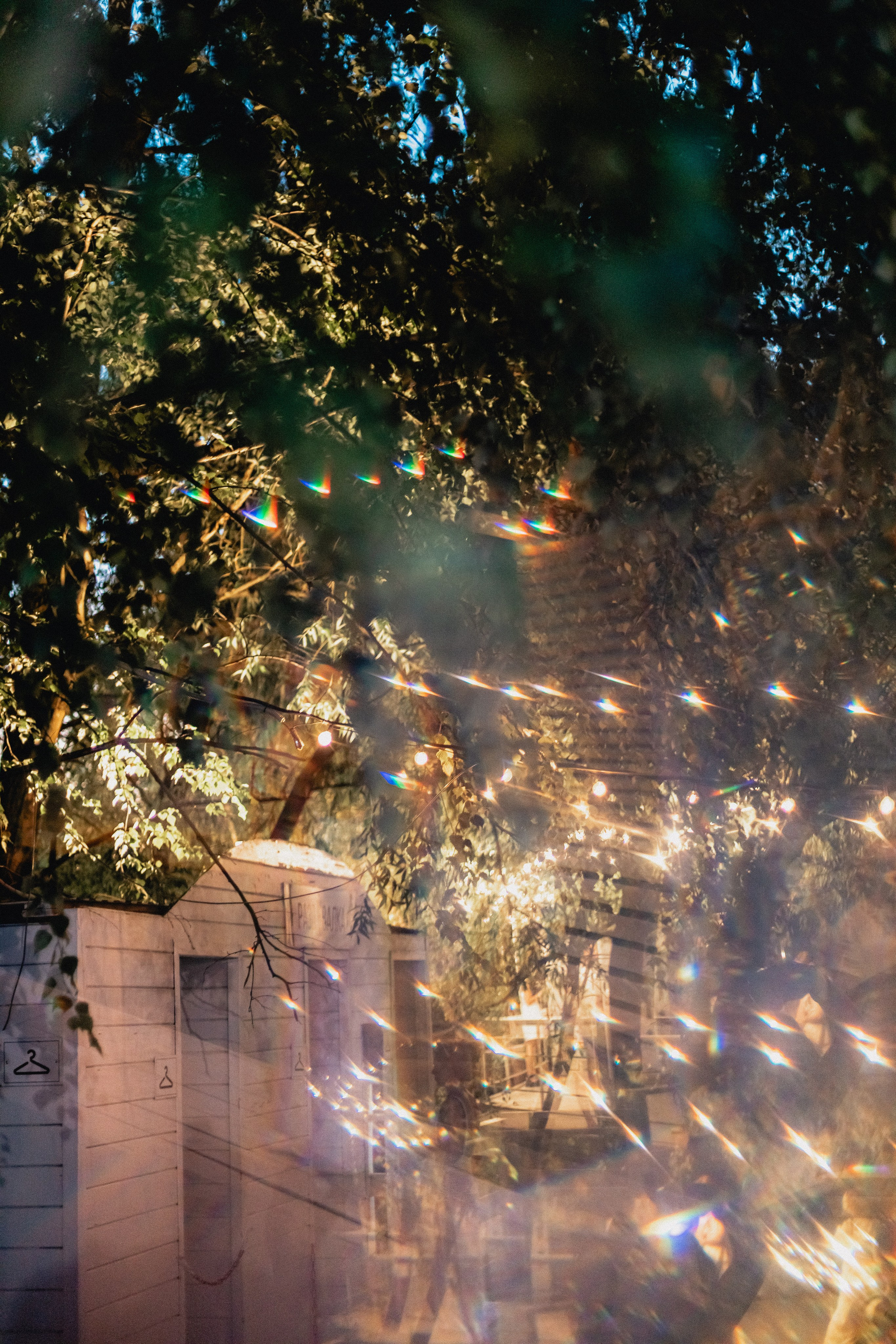 Ecstatic Berezy. Mariam Bagdasaryan